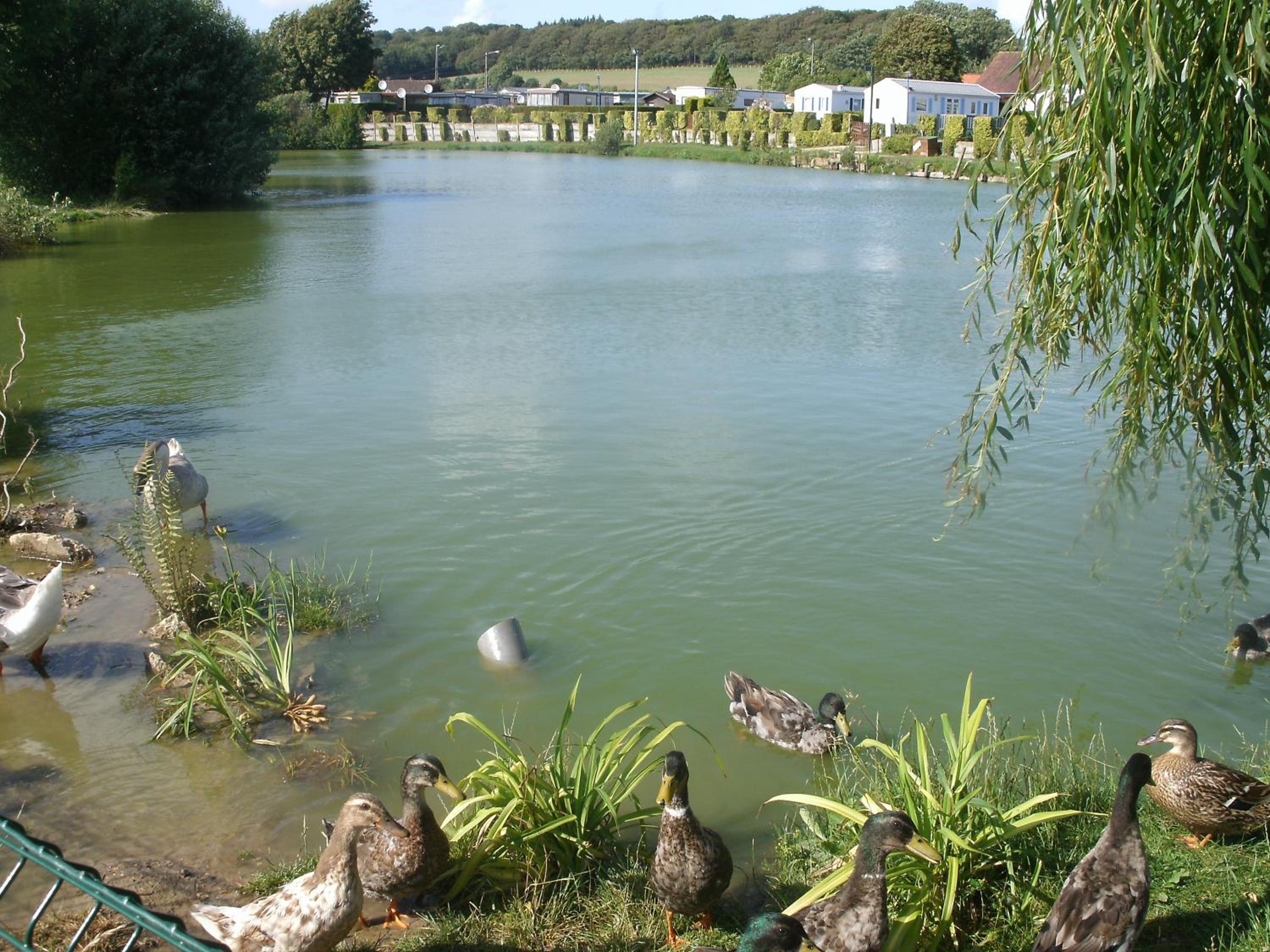 Bungalow (6 Adults) - Photo 6