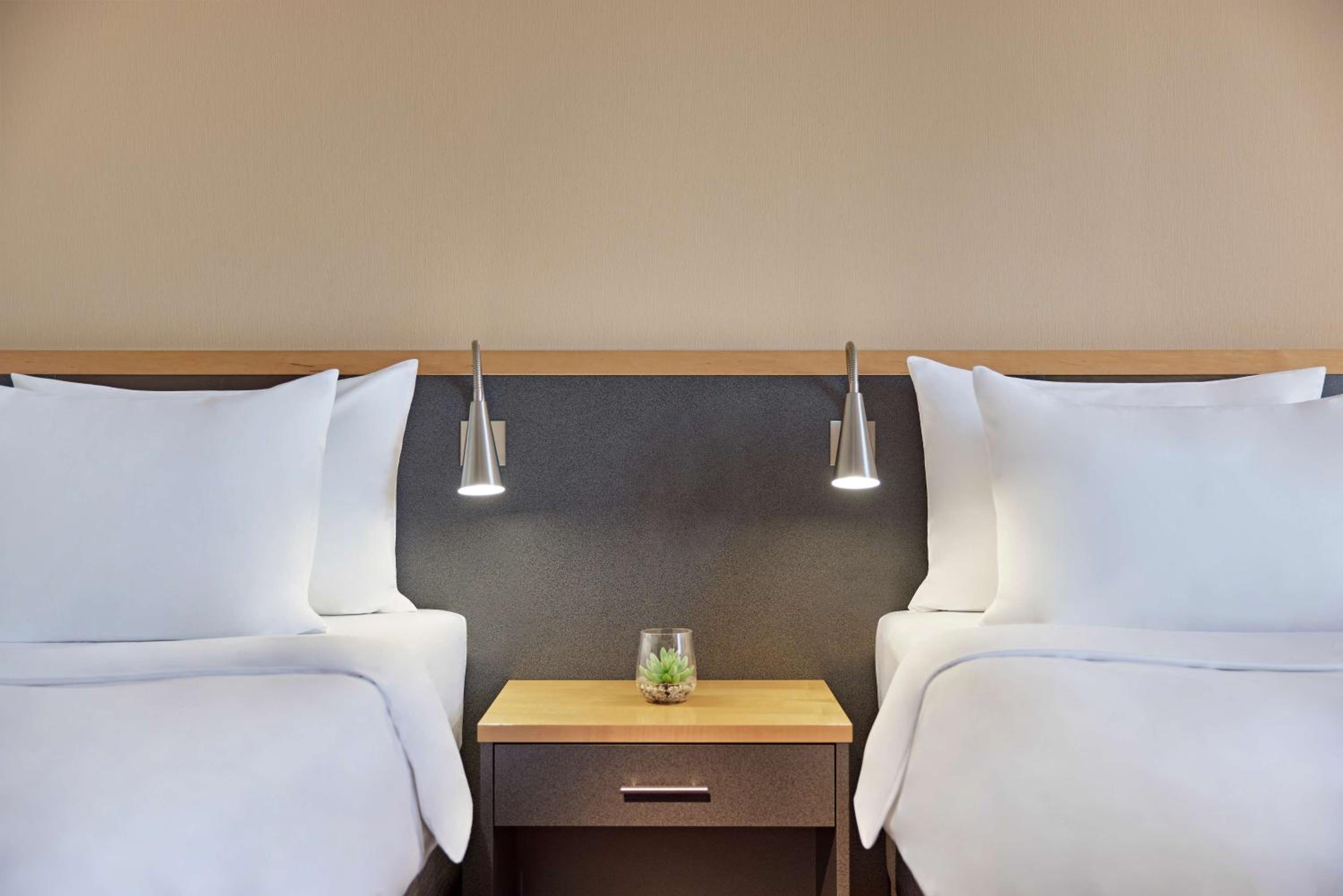 Standard Twin Room - Photo 3