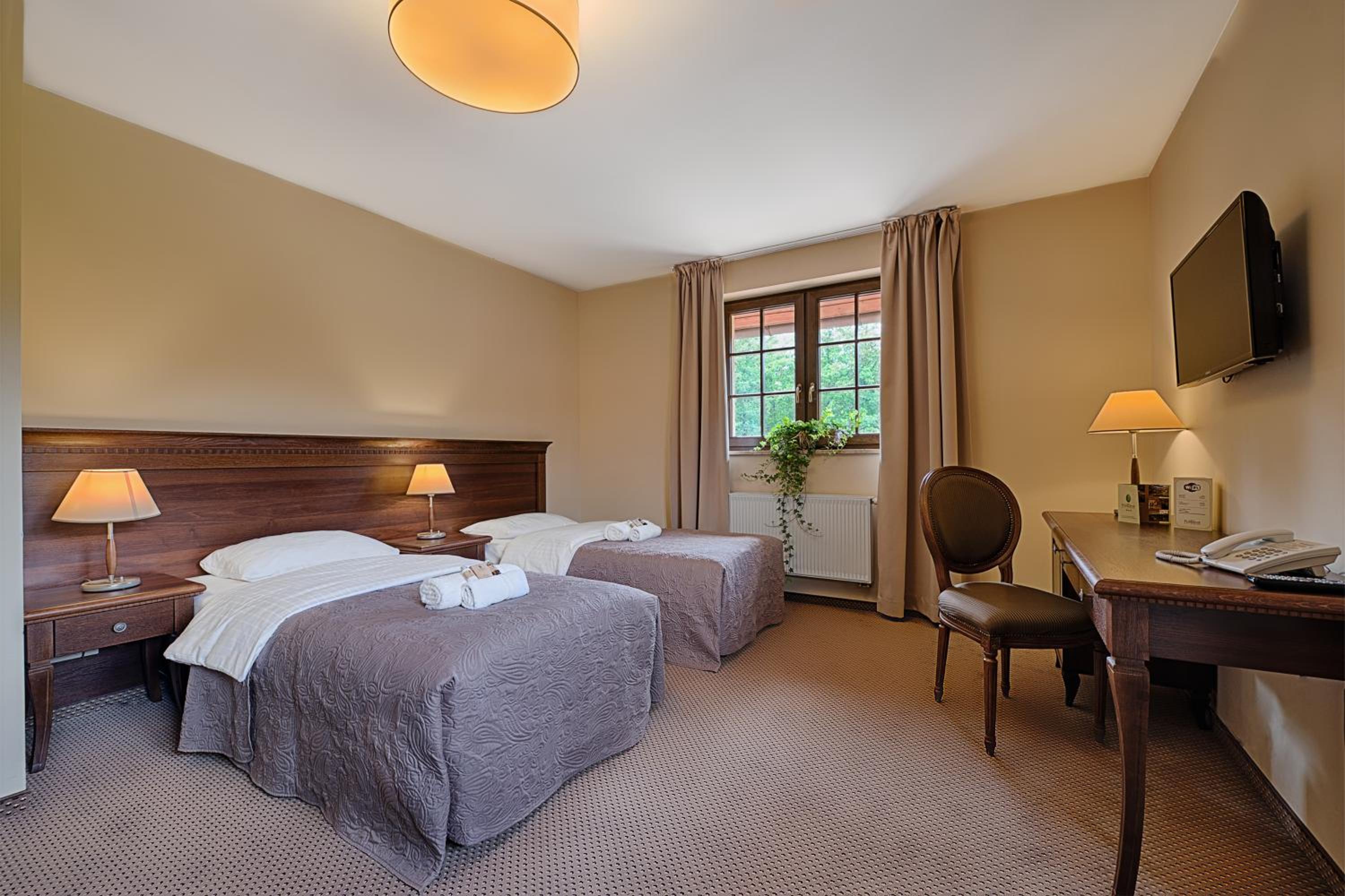 Comfort Room - Photo 10
