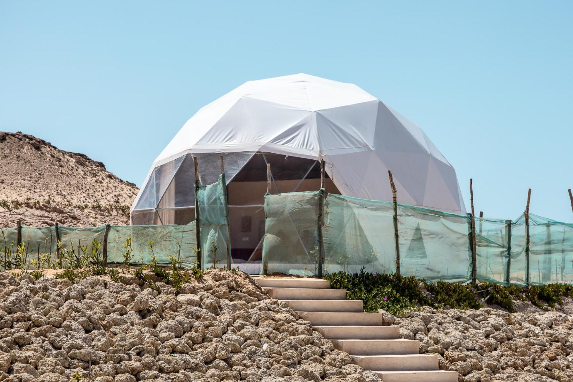 Dome - Photo 2