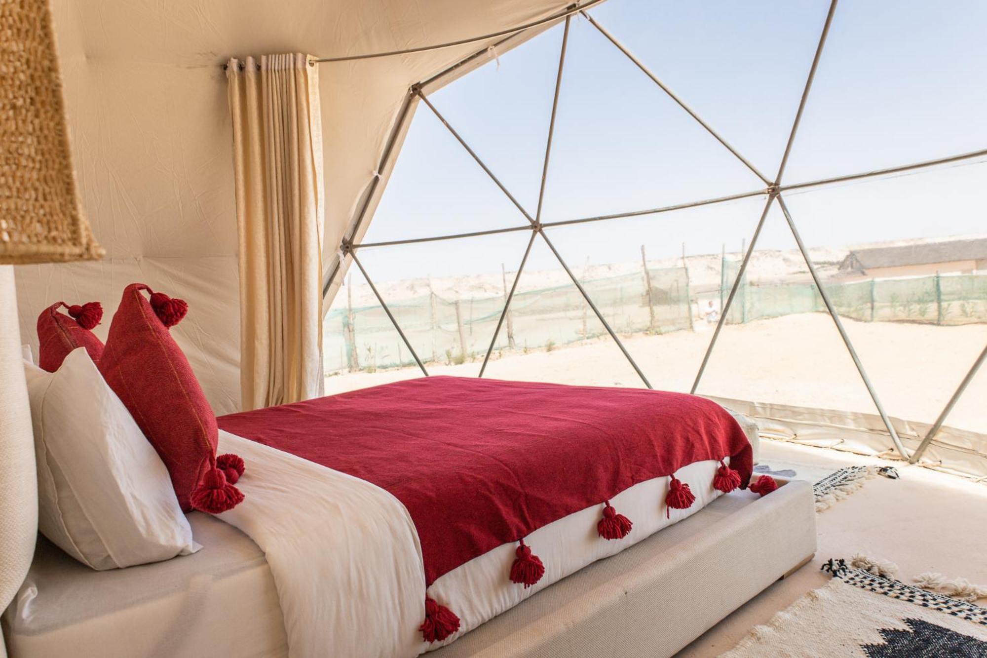Dome - Photo 3