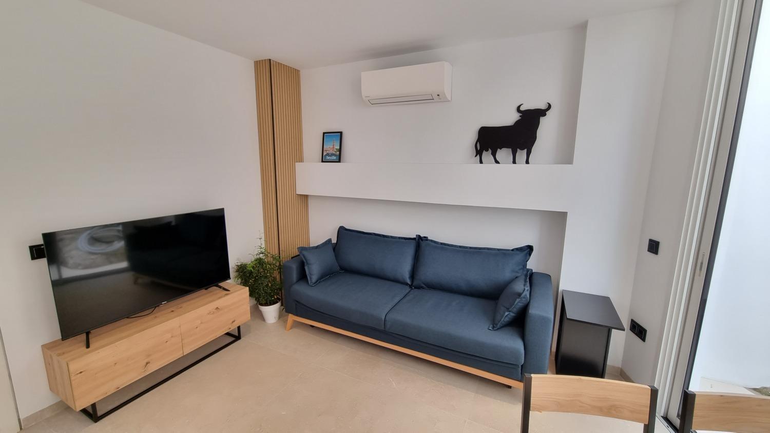 One-Bedroom Apartment photo 3