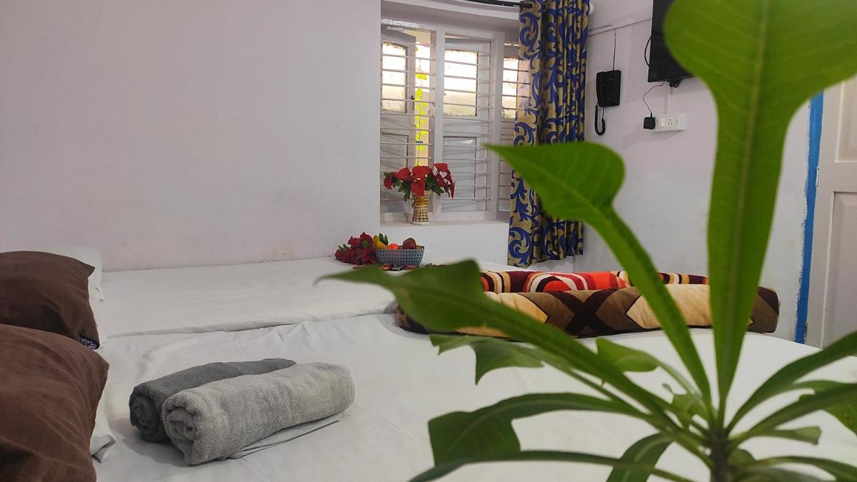 6-Bed Mixed Dormitory Room photo 2