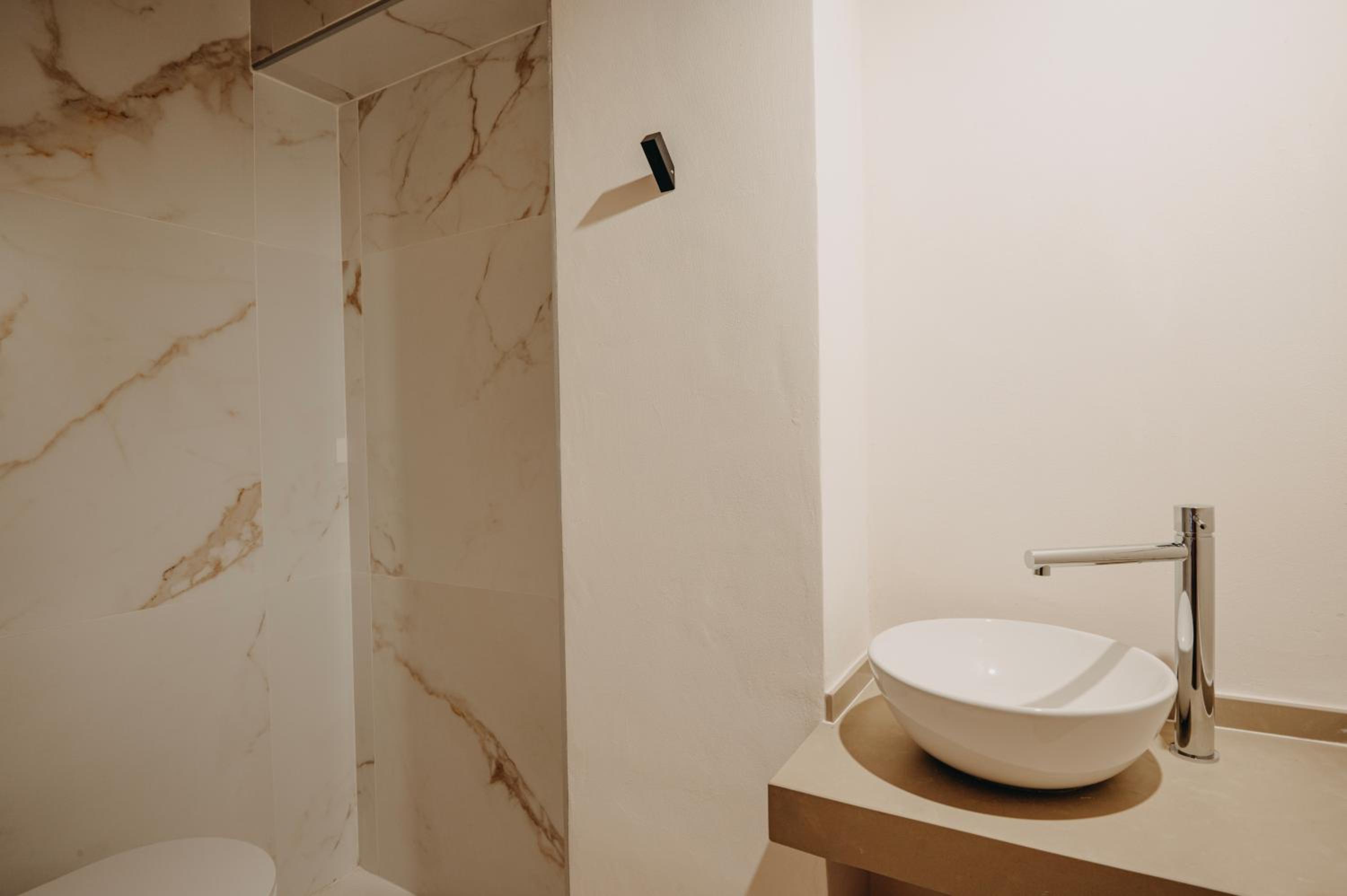 Premium Suite - Photo 16