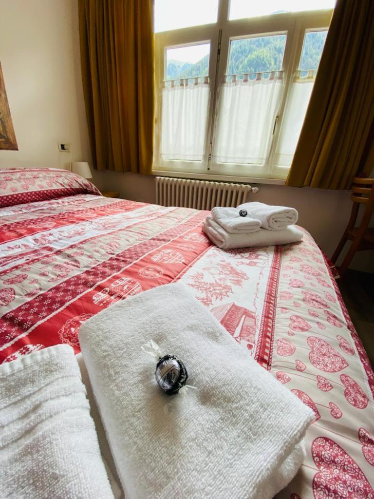 Double or Twin Room photo 2