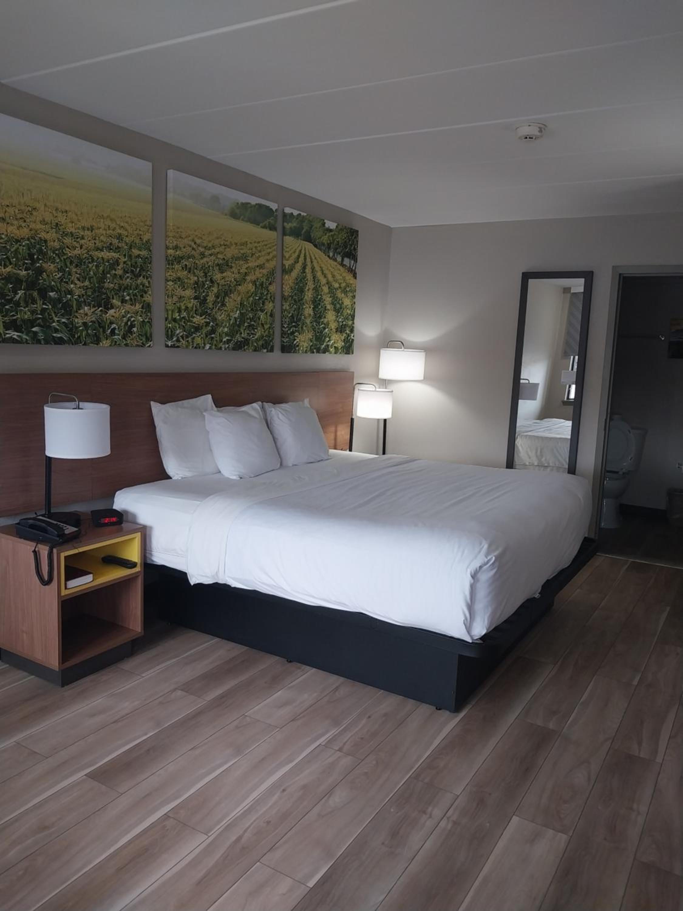 King Room - Non-Smoking - Photo 6