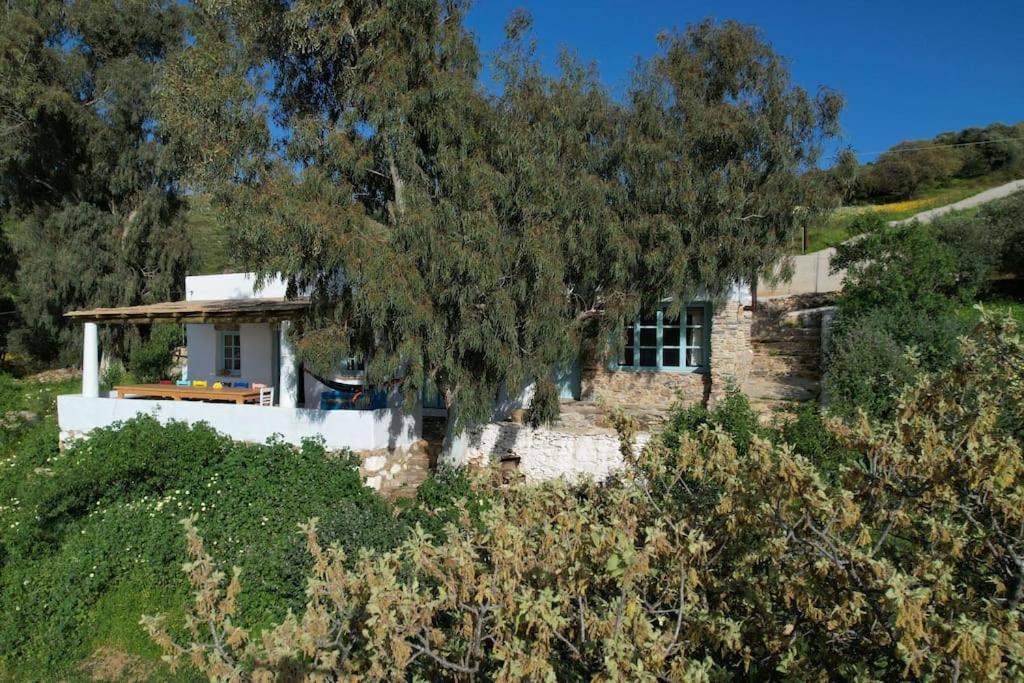 Three-Bedroom Villa photo 3