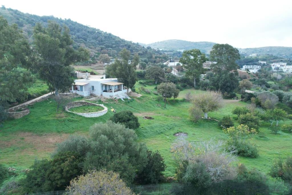 Three-Bedroom Villa photo 2