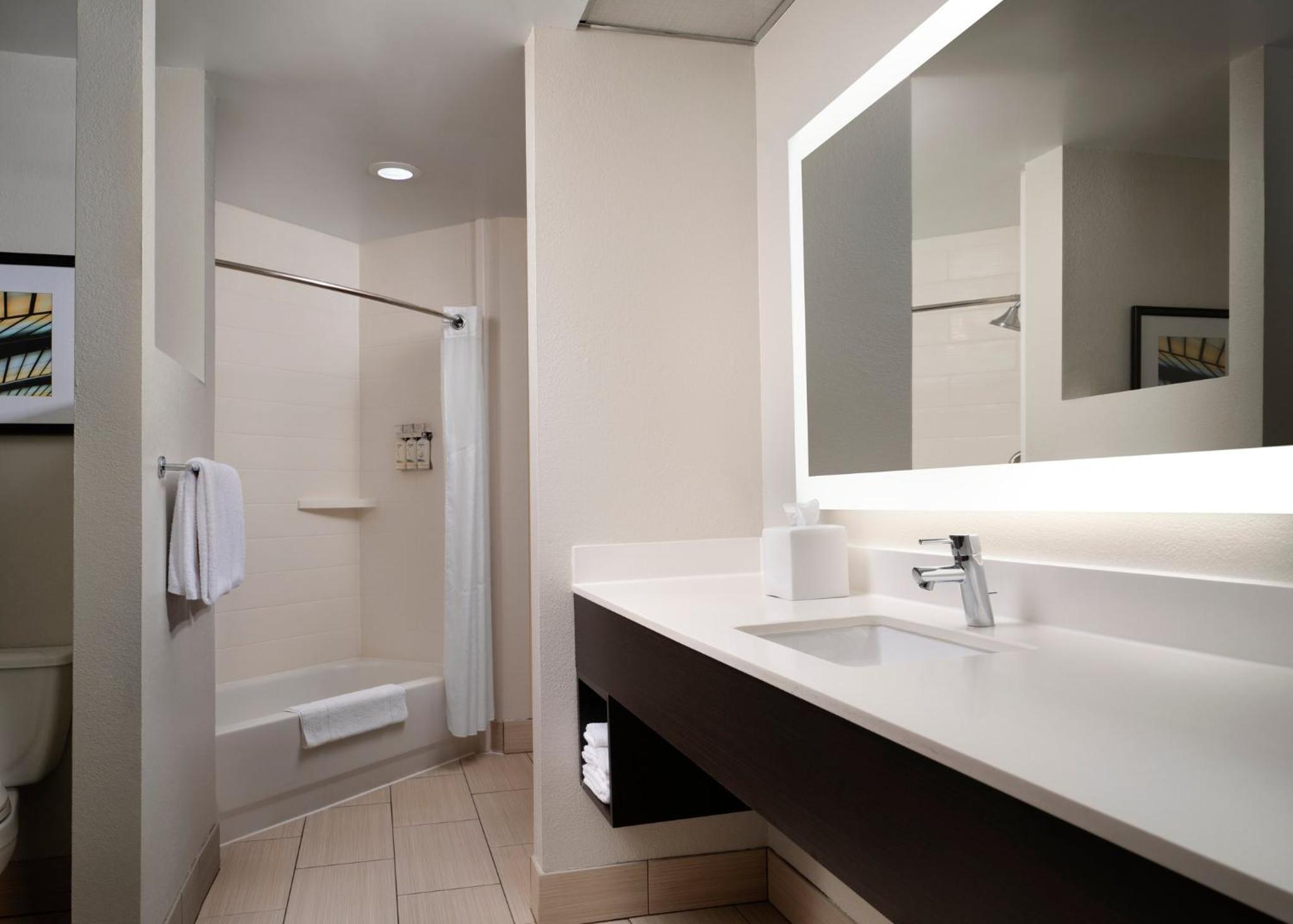 King Suite - Photo 4