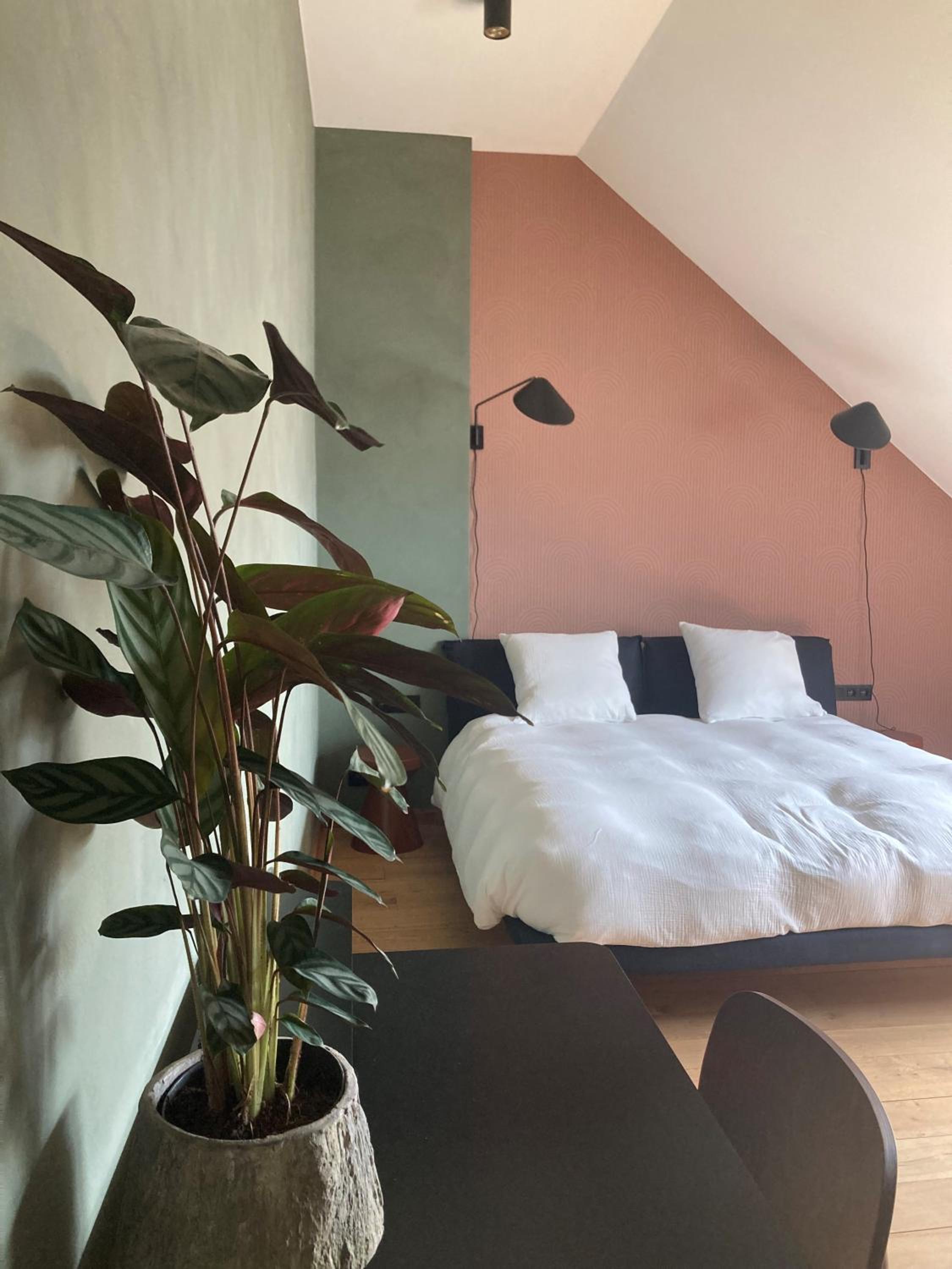 King Room photo 2