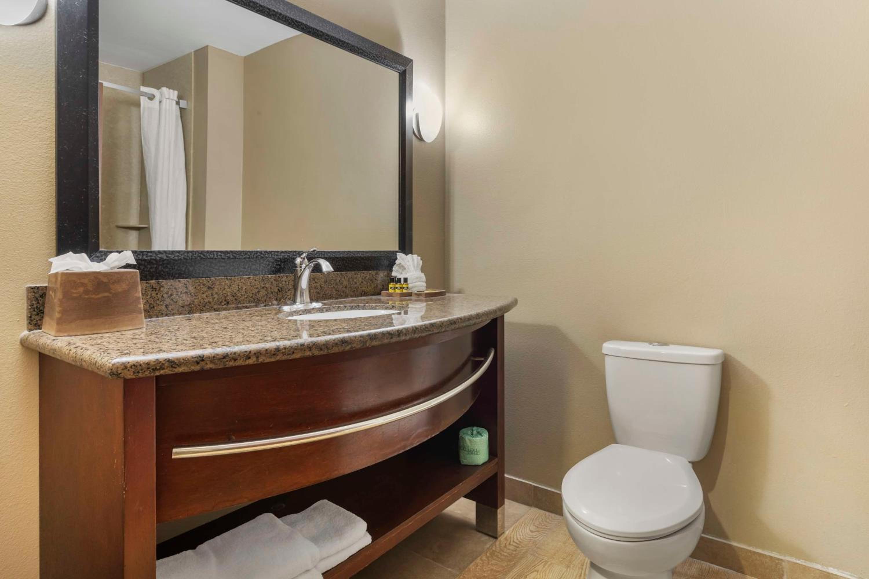 Two-Bedroom King Suite with Two King Beds and Sofa Bed - Non-Smoking - Photo 4