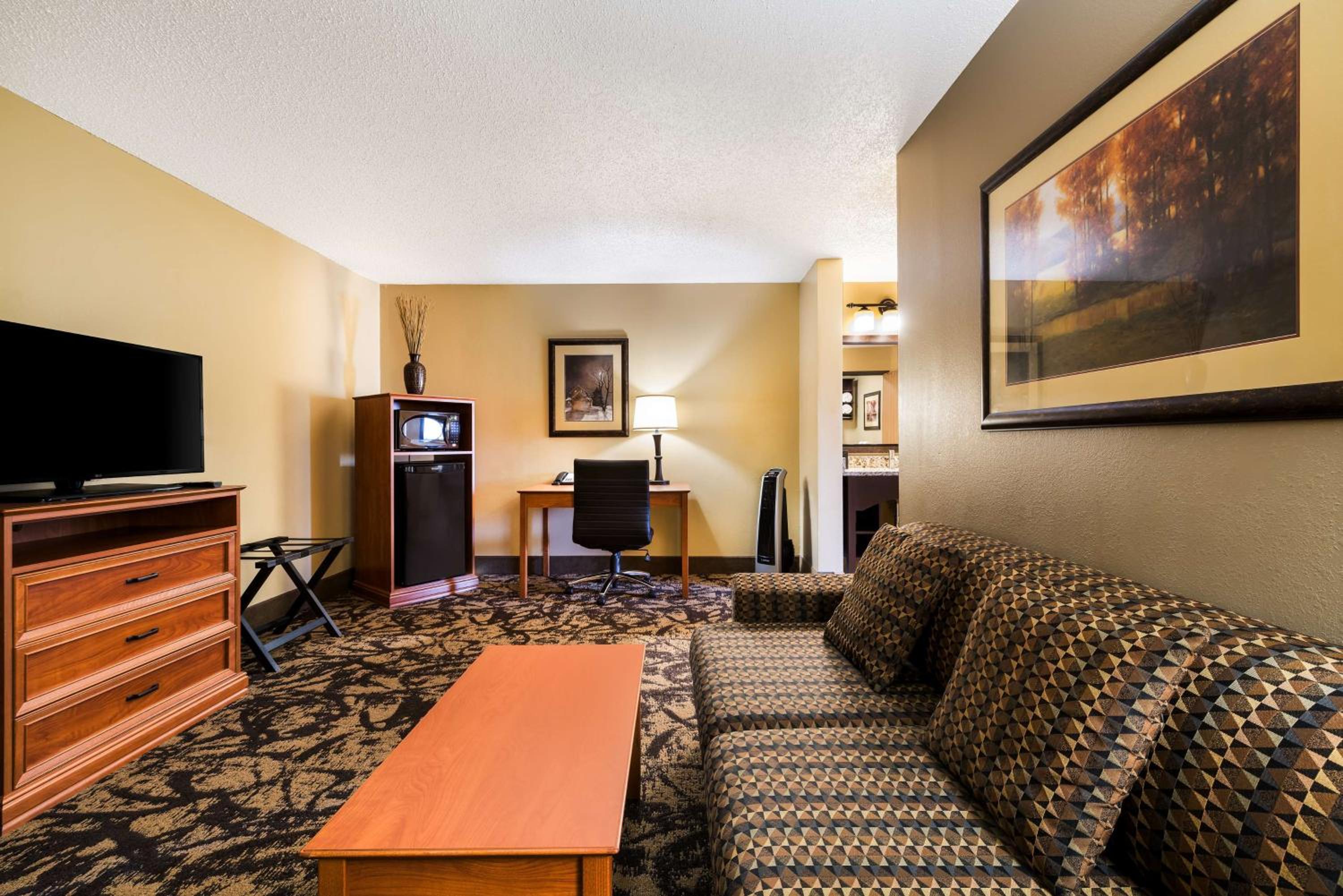 One-Bedroom King Suite with Sofa Bed - Non-Smoking