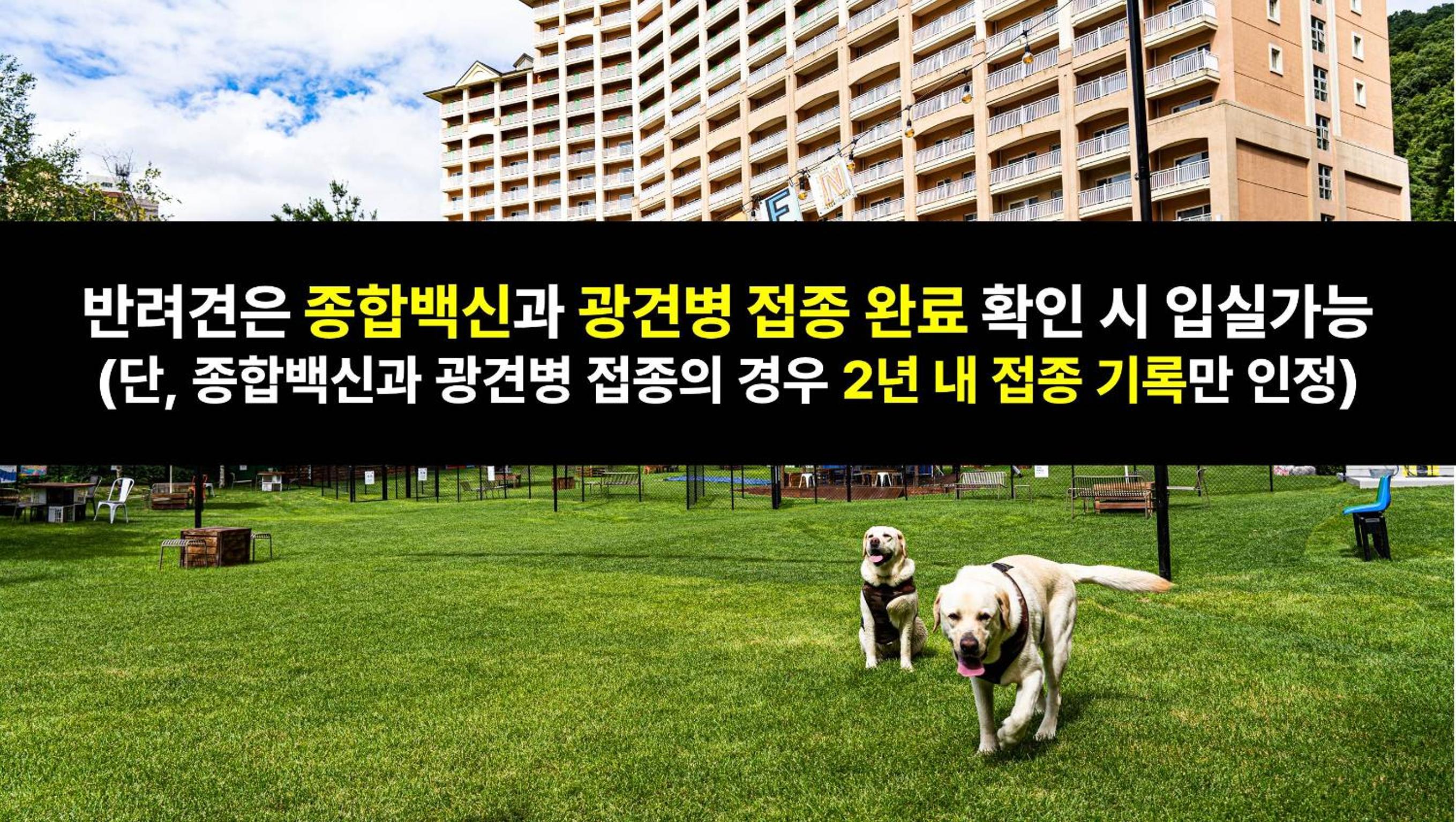 Silver Suite (Pet Club Semi-Kitchen/Park View/Bed) - Rabies&Comprehensive Vaccine Certificate within 2 years required - Photo 6