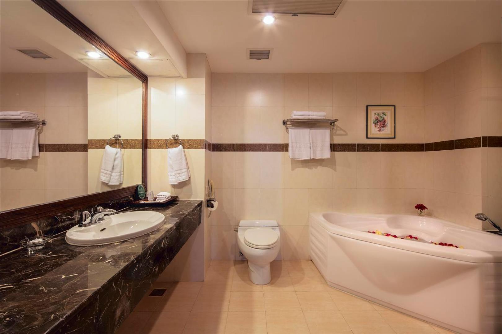 Executive Suite - Photo 4