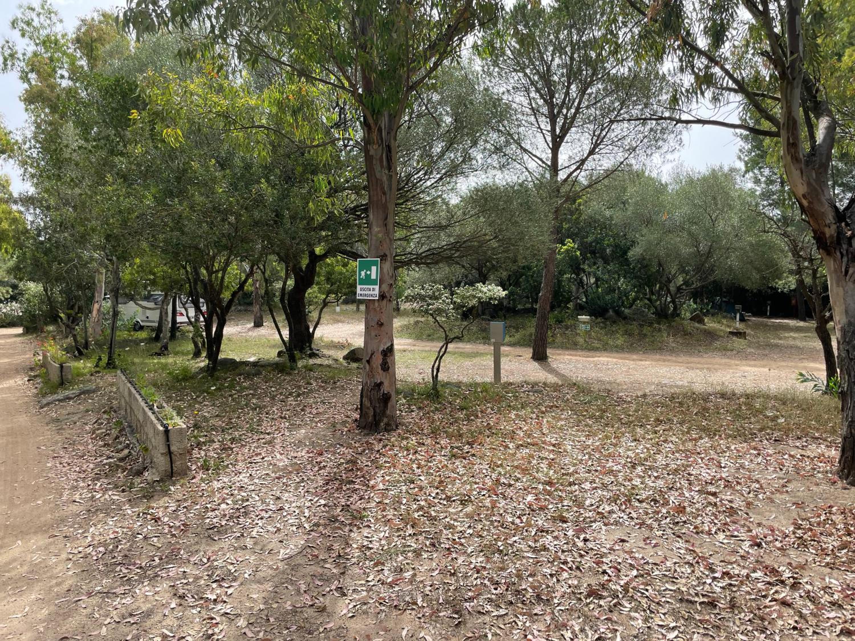 Empty Lot (Bring Your Own Tent) photo 1