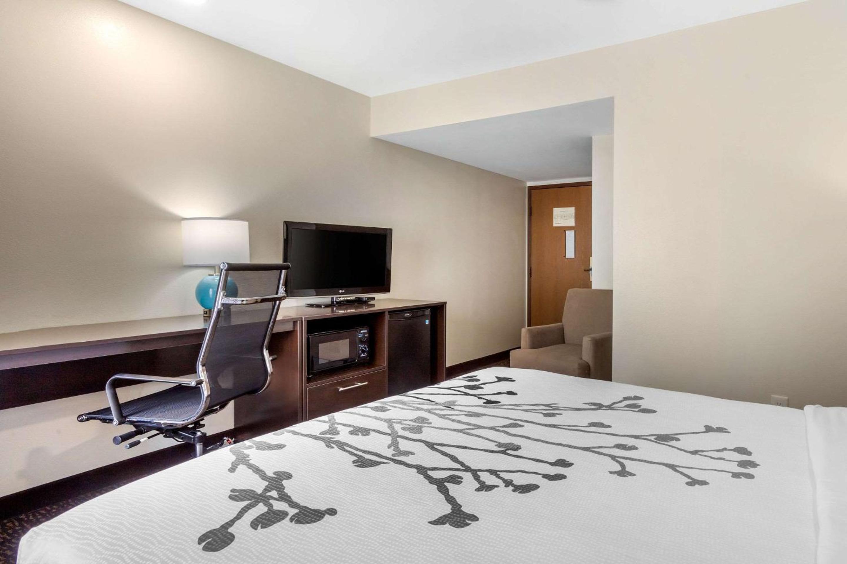 Queen Room - Disability Access/Non-Smoking photo 3