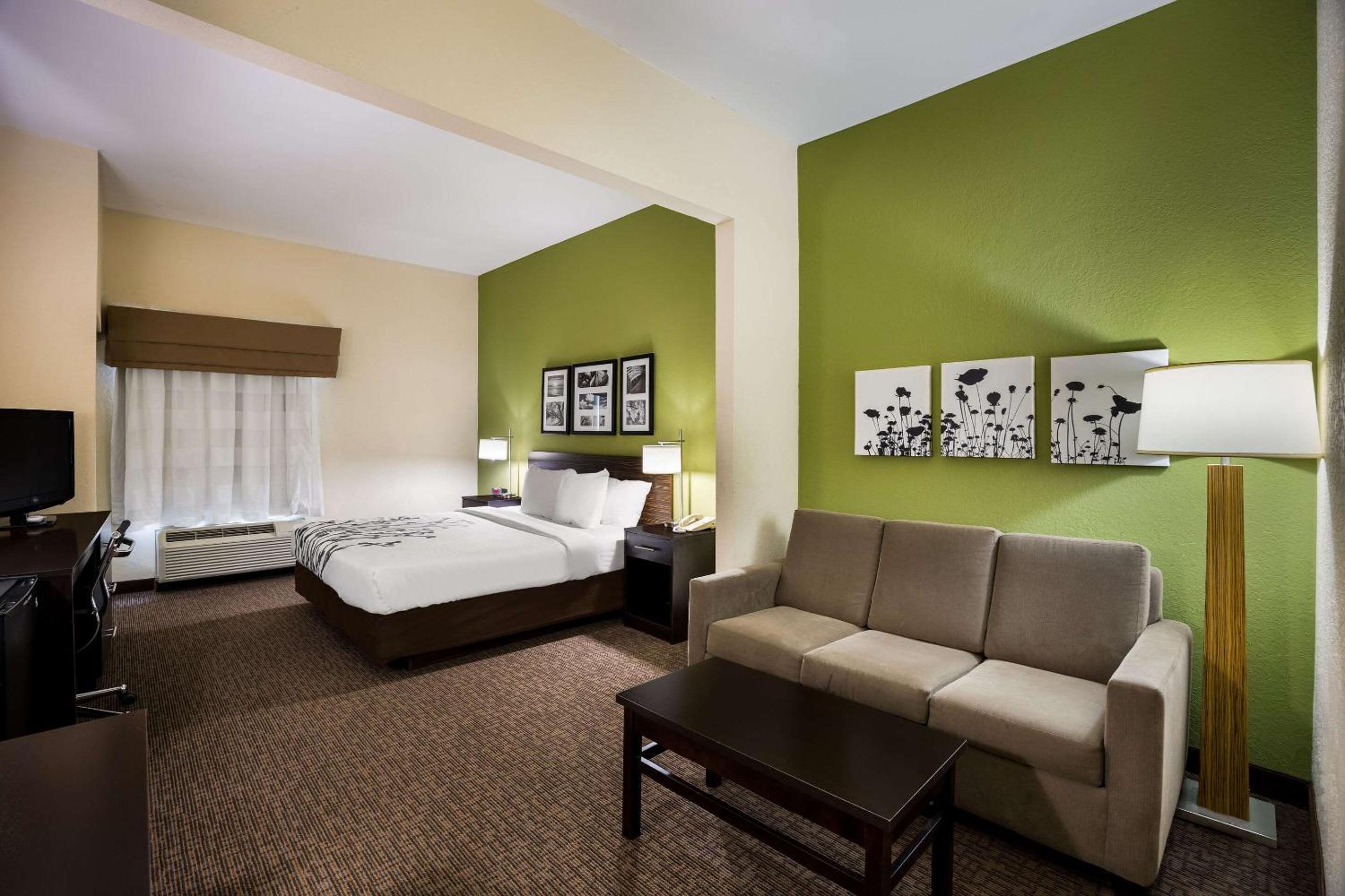 King Suite with Sofa Bed - Photo 1