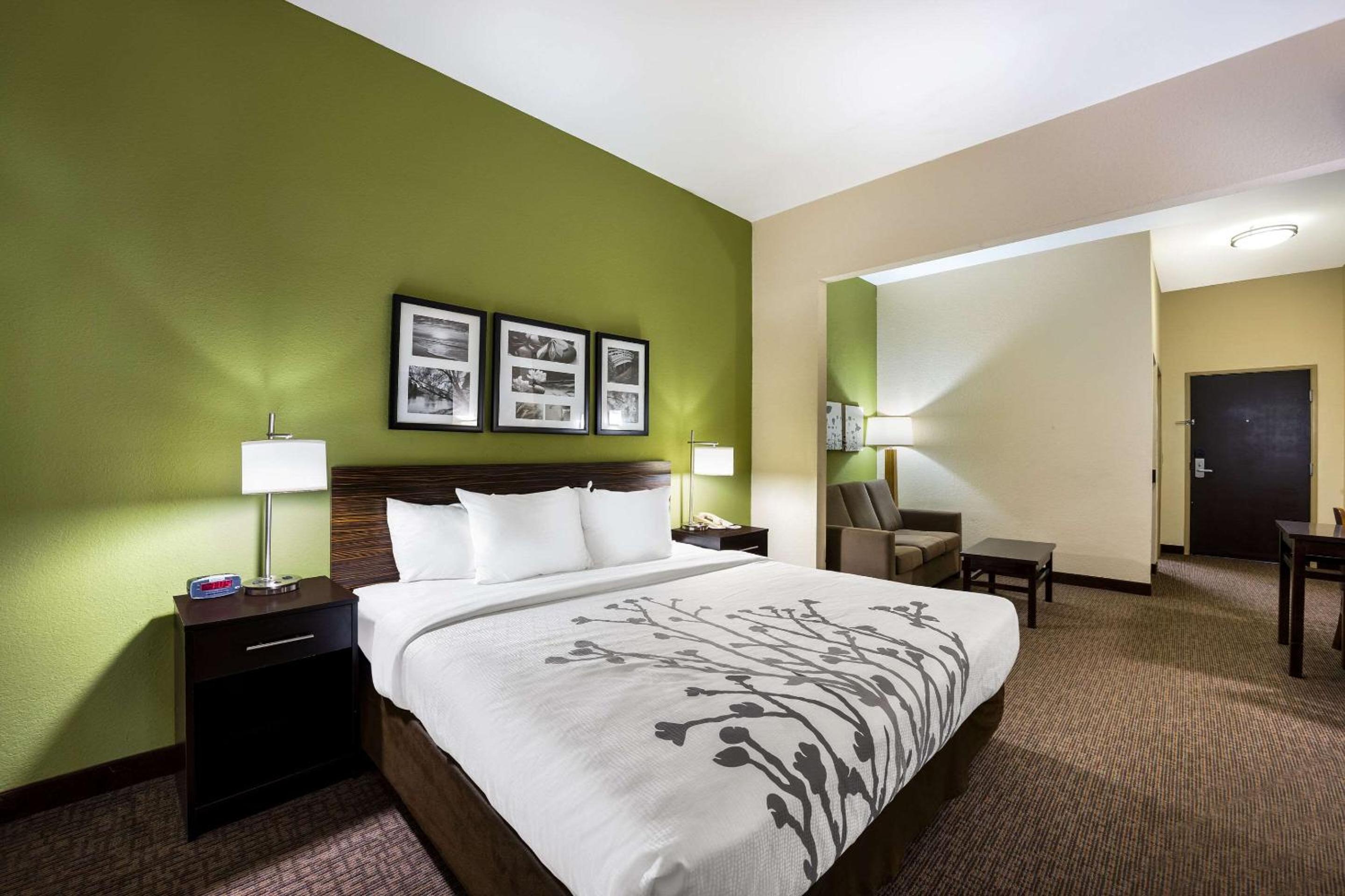 King Suite with Sofa Bed - Photo 3