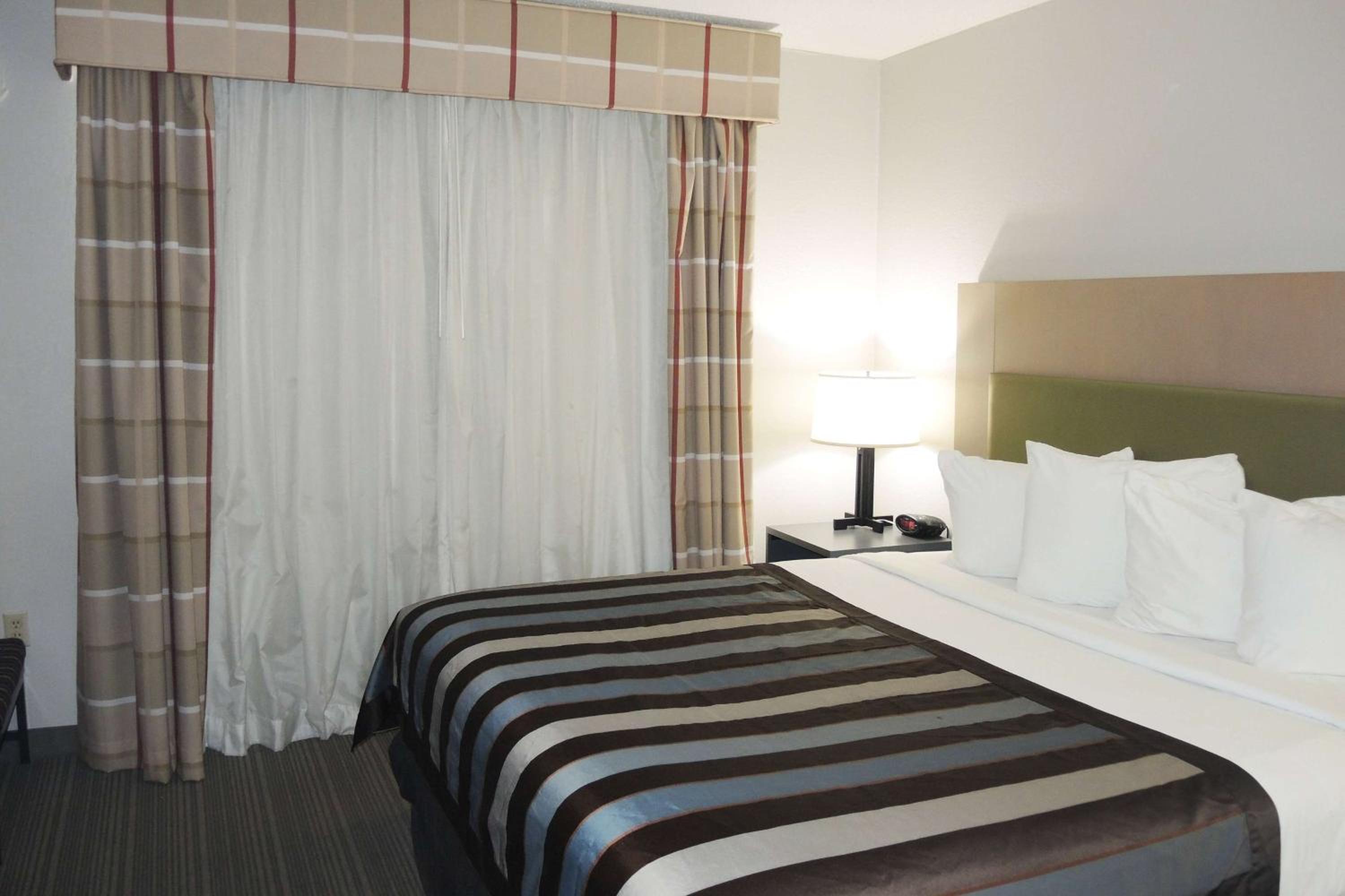 One-Bedroom King Suite, Non-Smoking - Photo 4