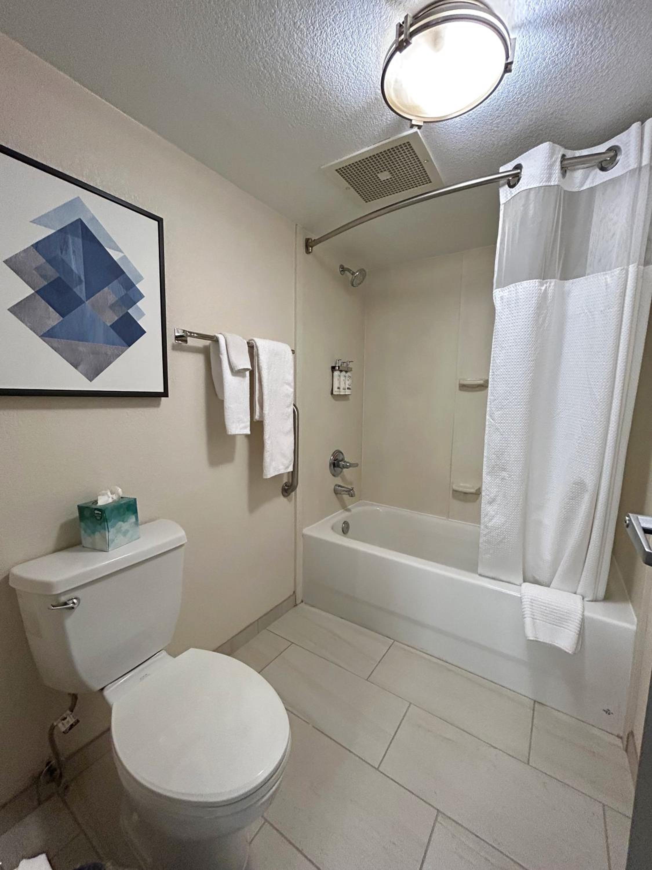 One-Bedroom King Suite - Photo 20