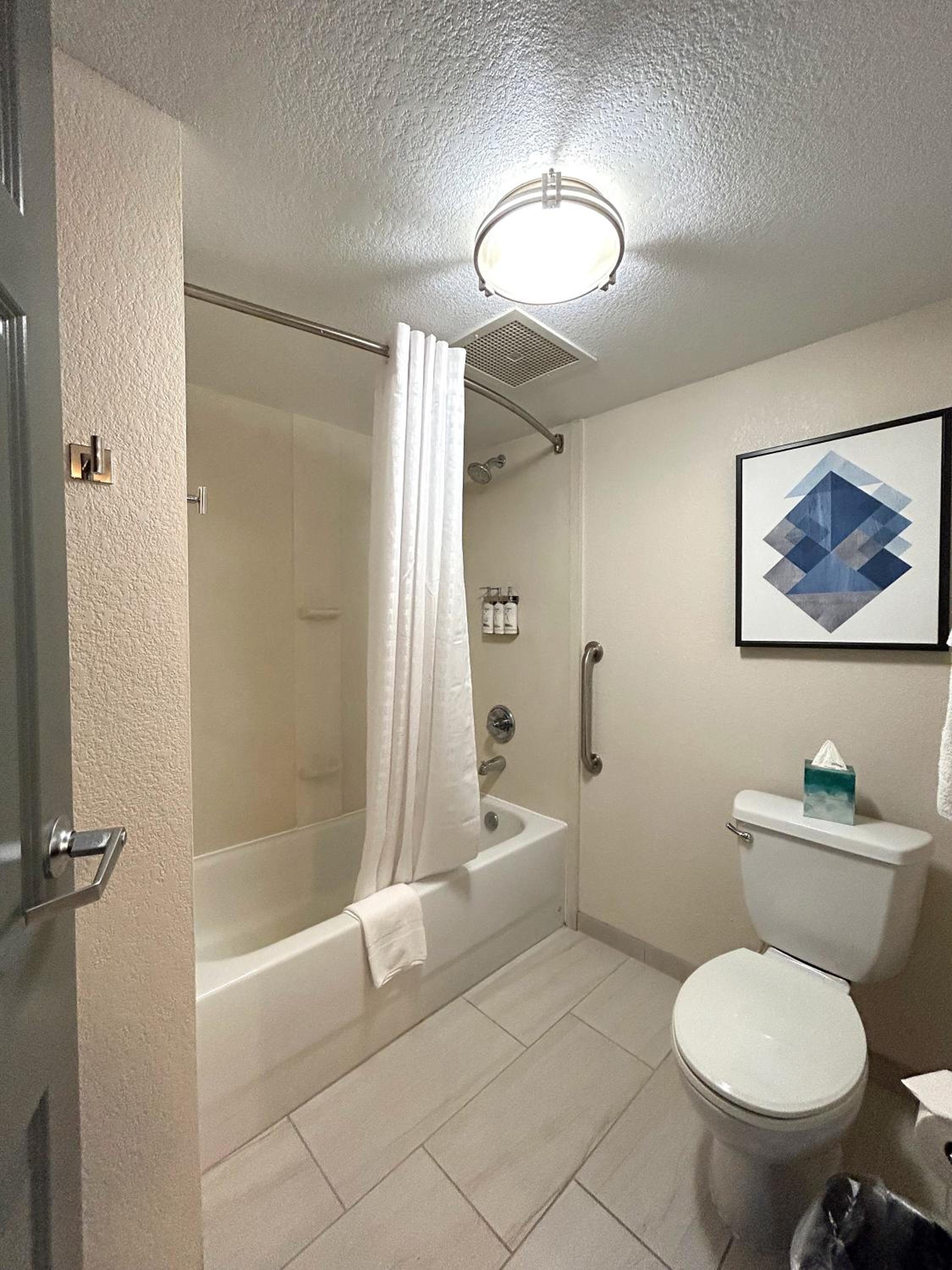 One-Bedroom King Suite - Photo 18