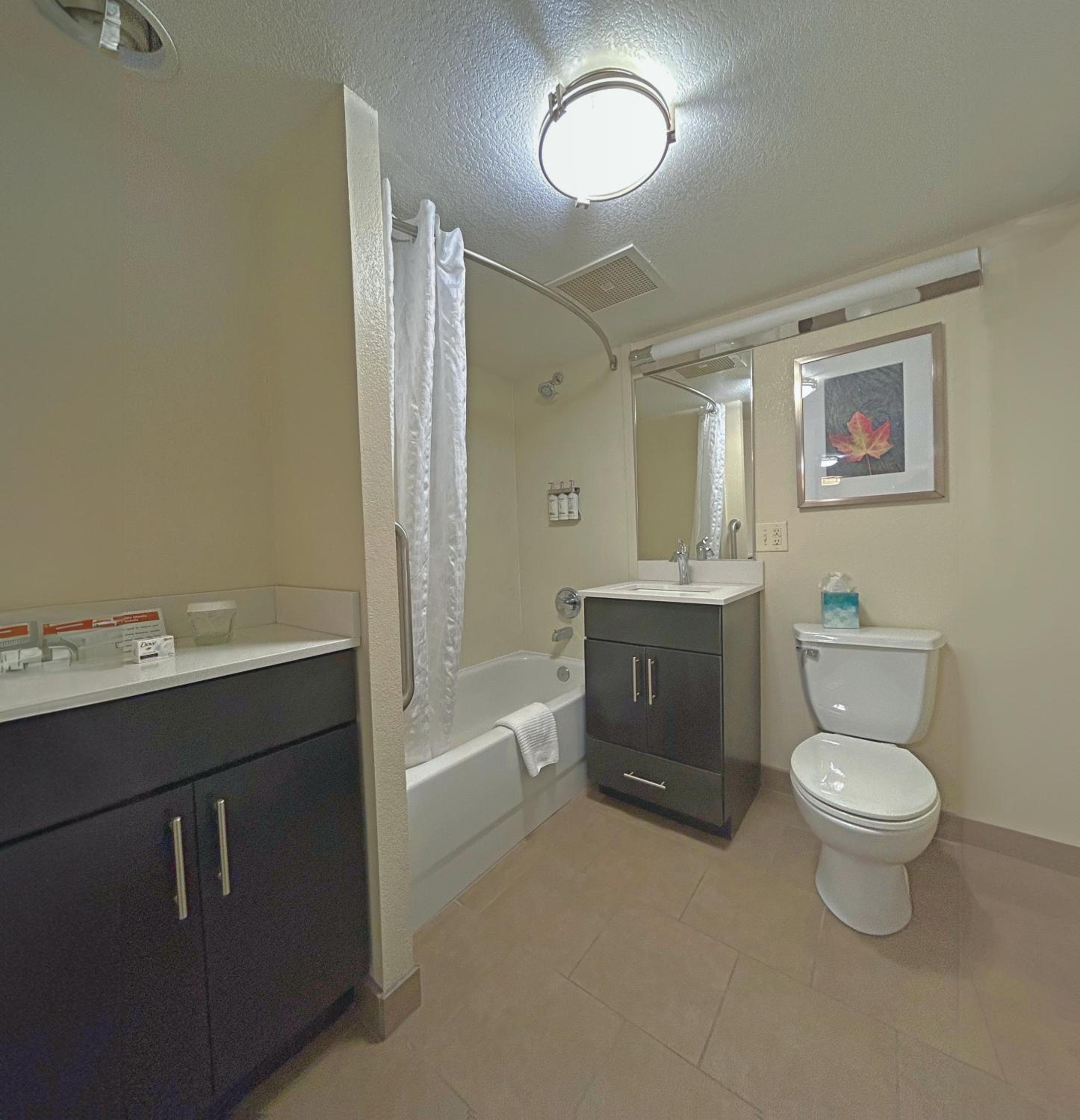 One-Bedroom King Suite - Photo 21