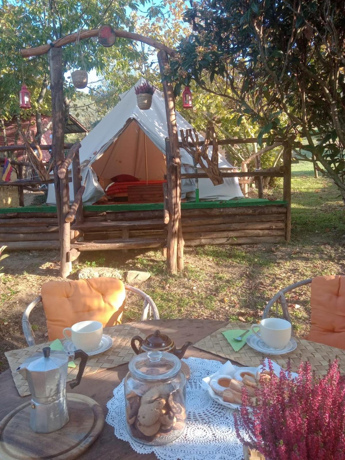 Tent photo 2