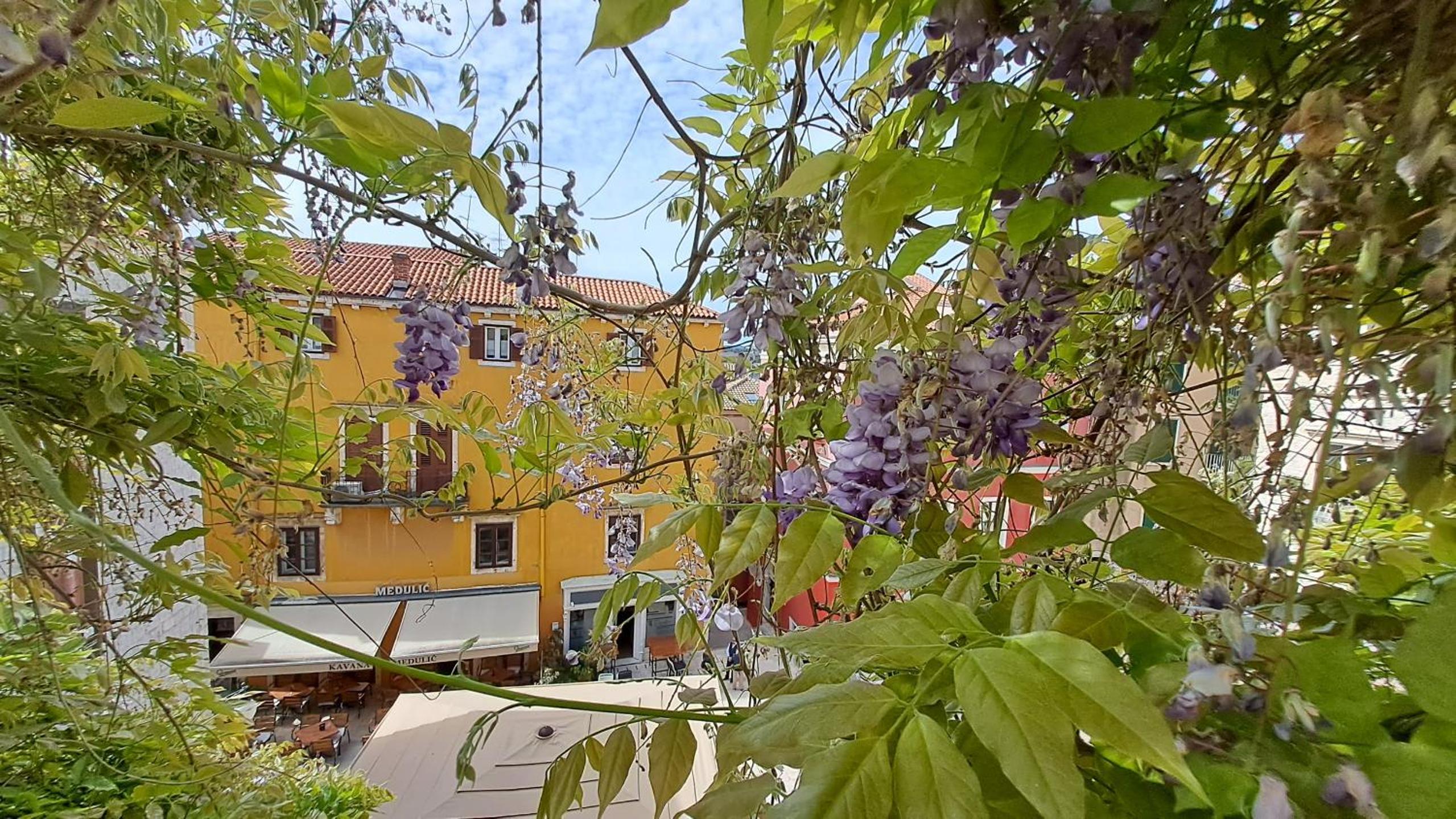 Deluxe Studio Apartment with Terrace - Photo 9