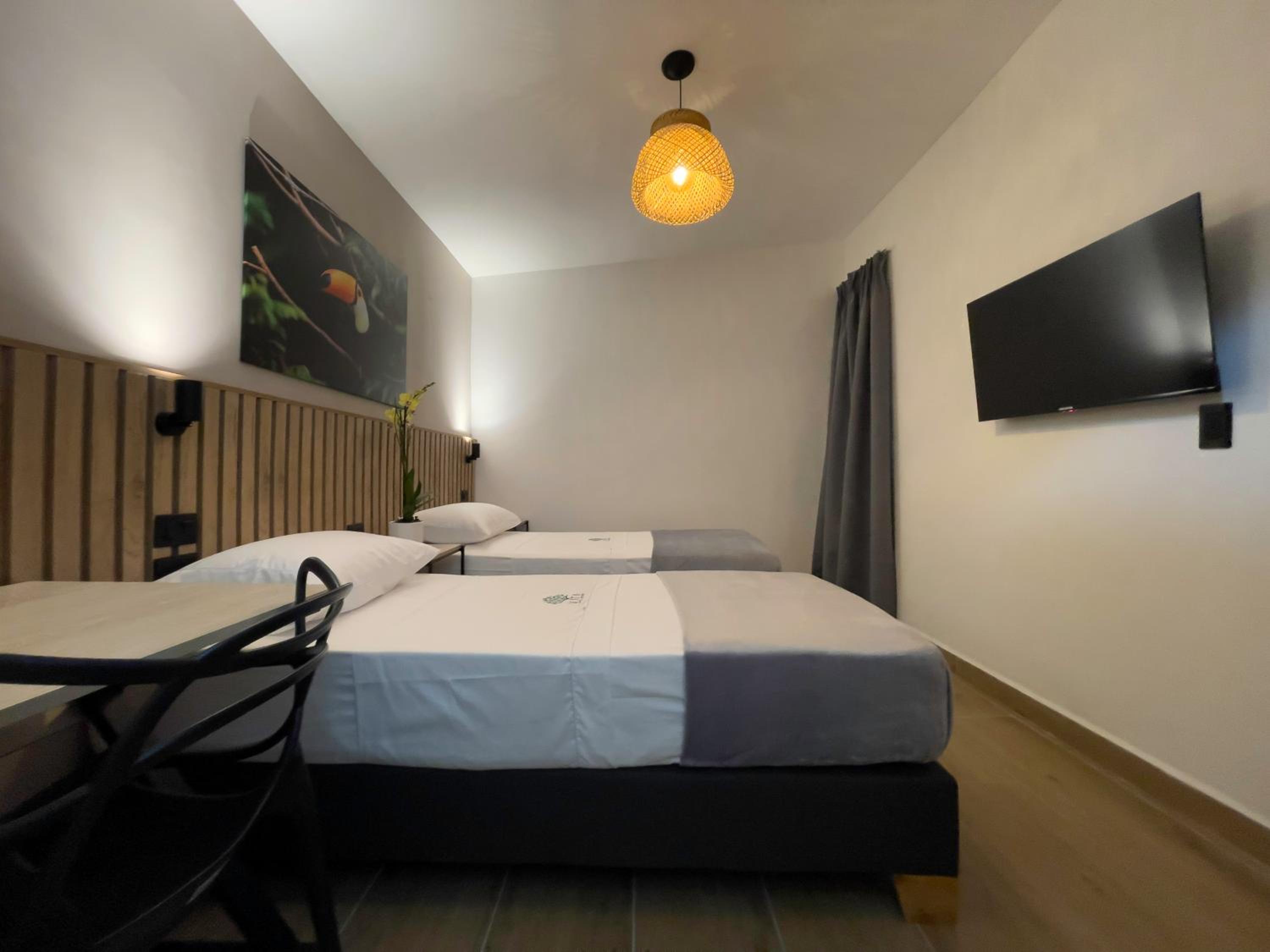 Double or Twin Room photo 1