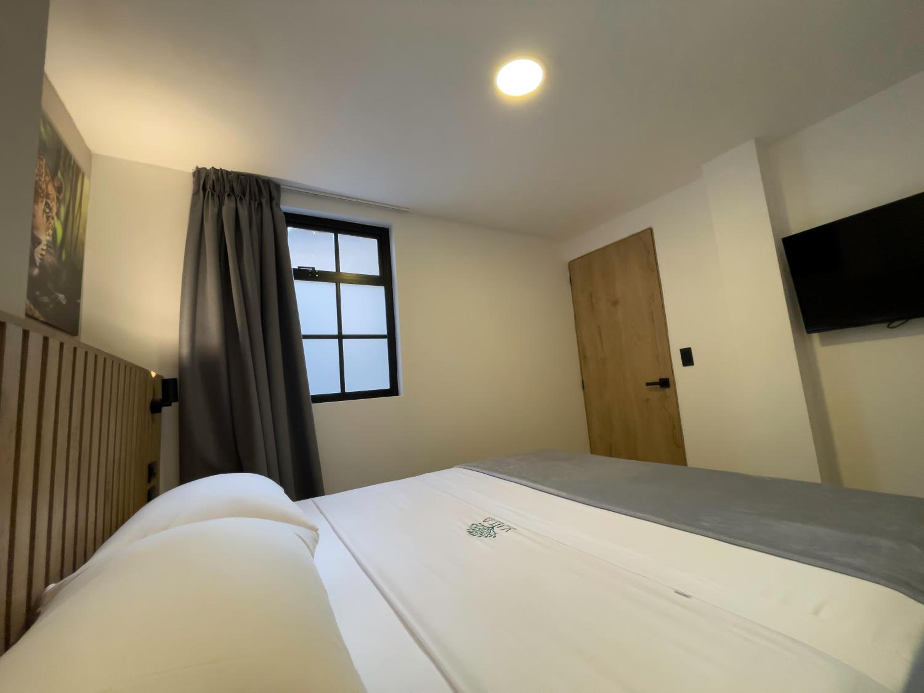 Deluxe Queen Room photo 1