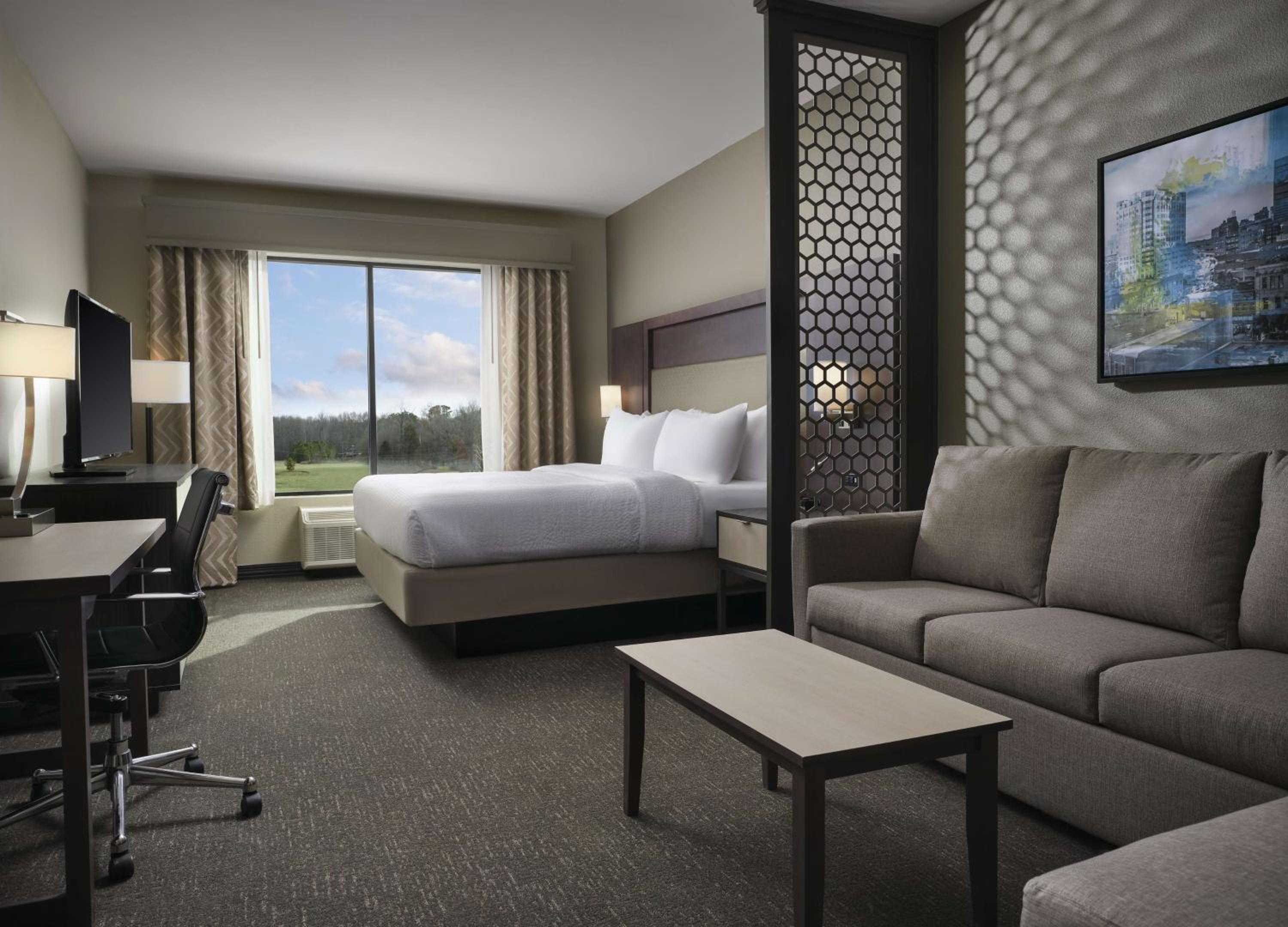King Suite with Sofa Bed - Photo 1