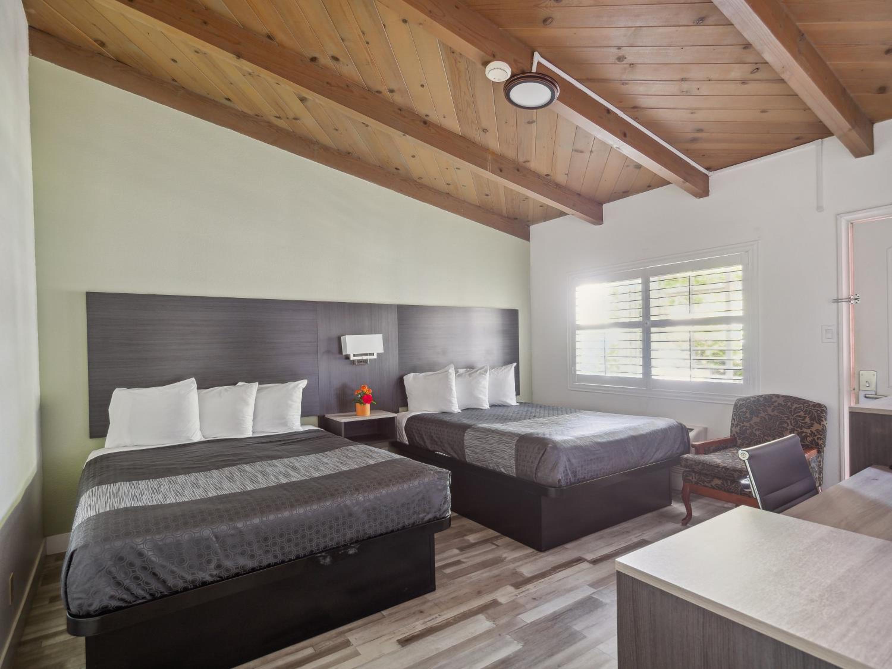 Suite - Photo 3
