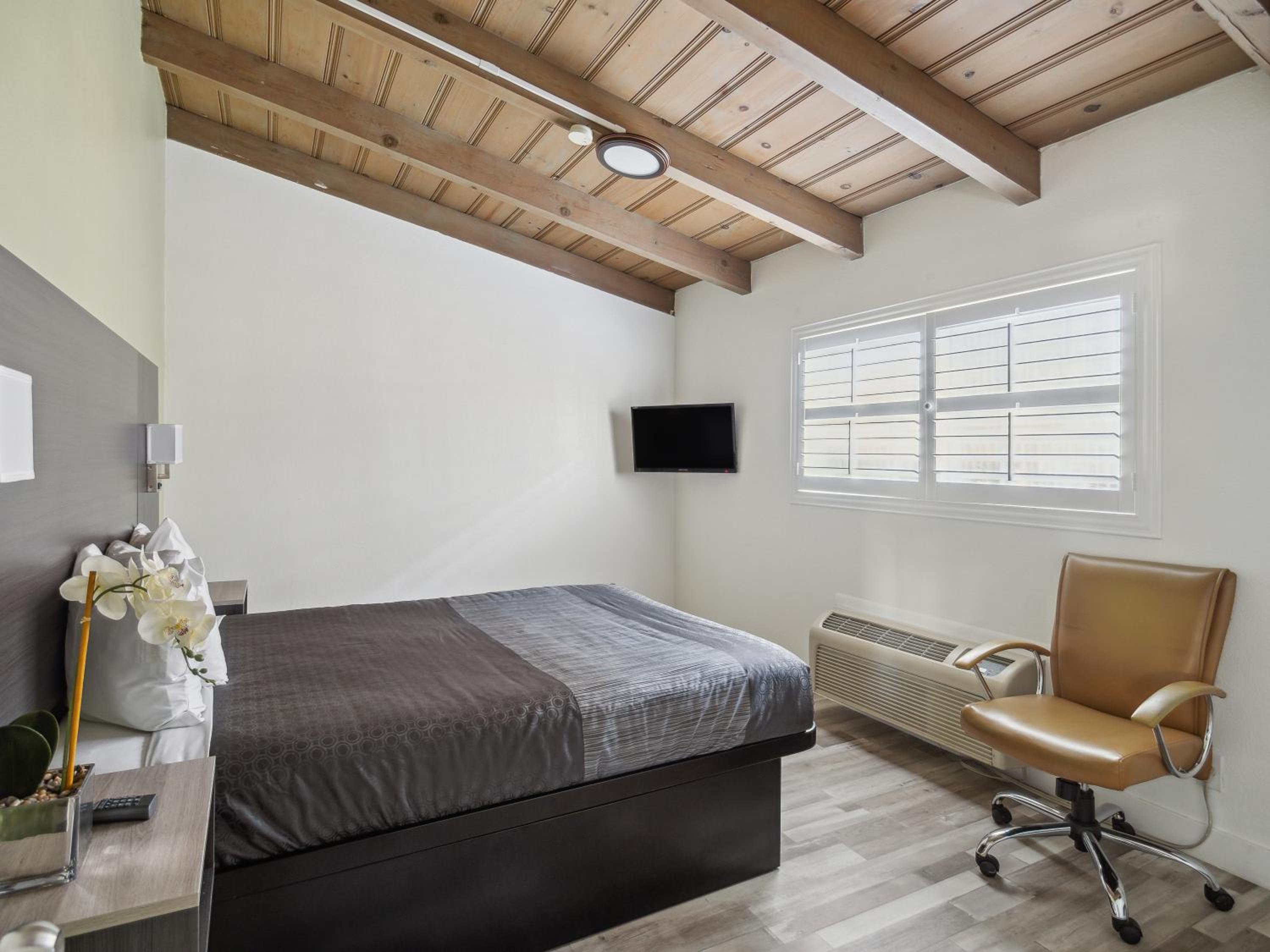 Suite - Photo 10