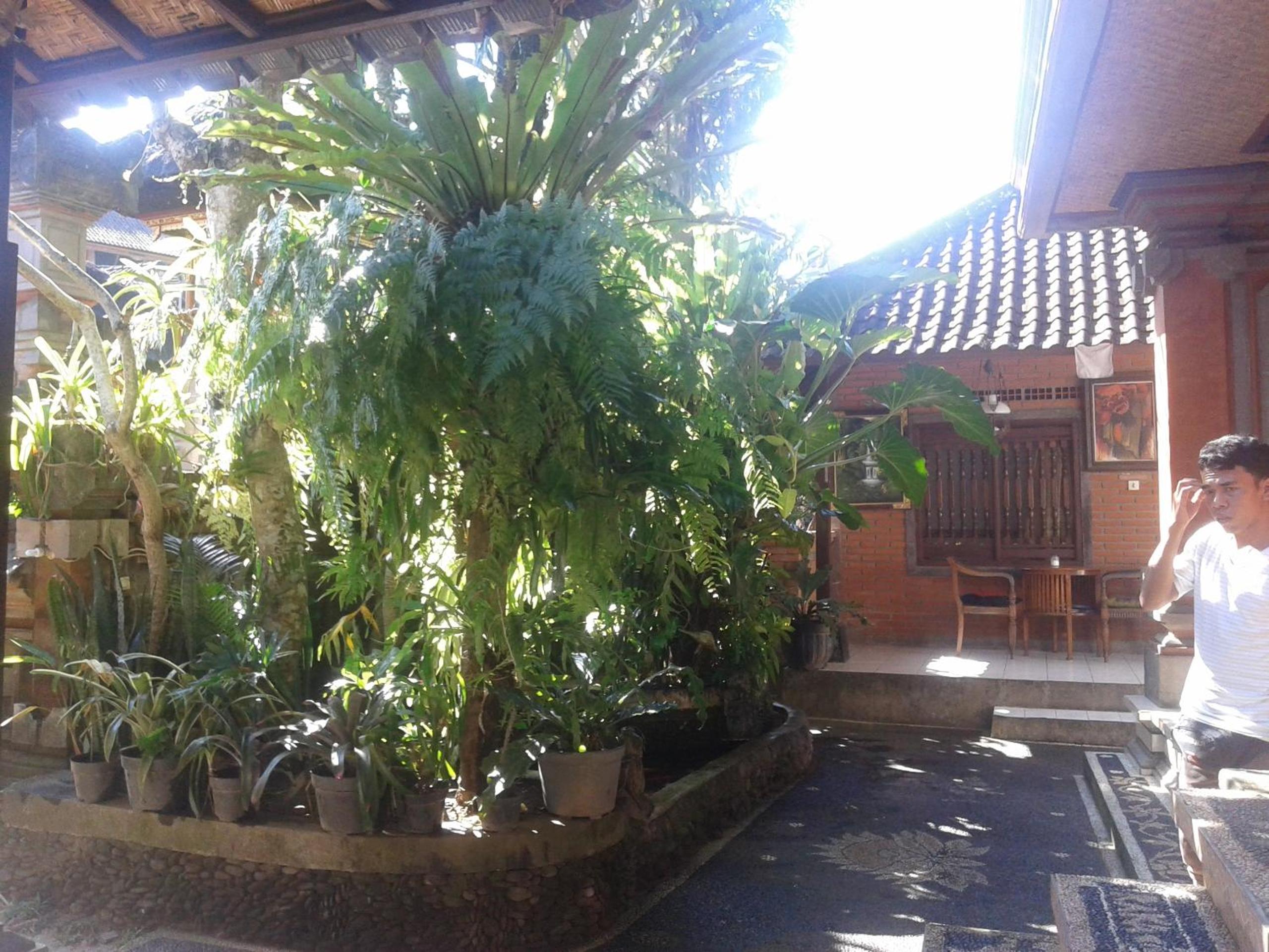 Double Room - Photo 2