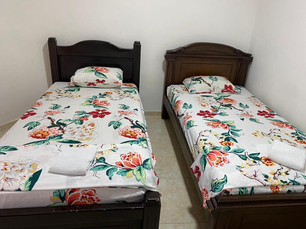 Twin Room photo 2