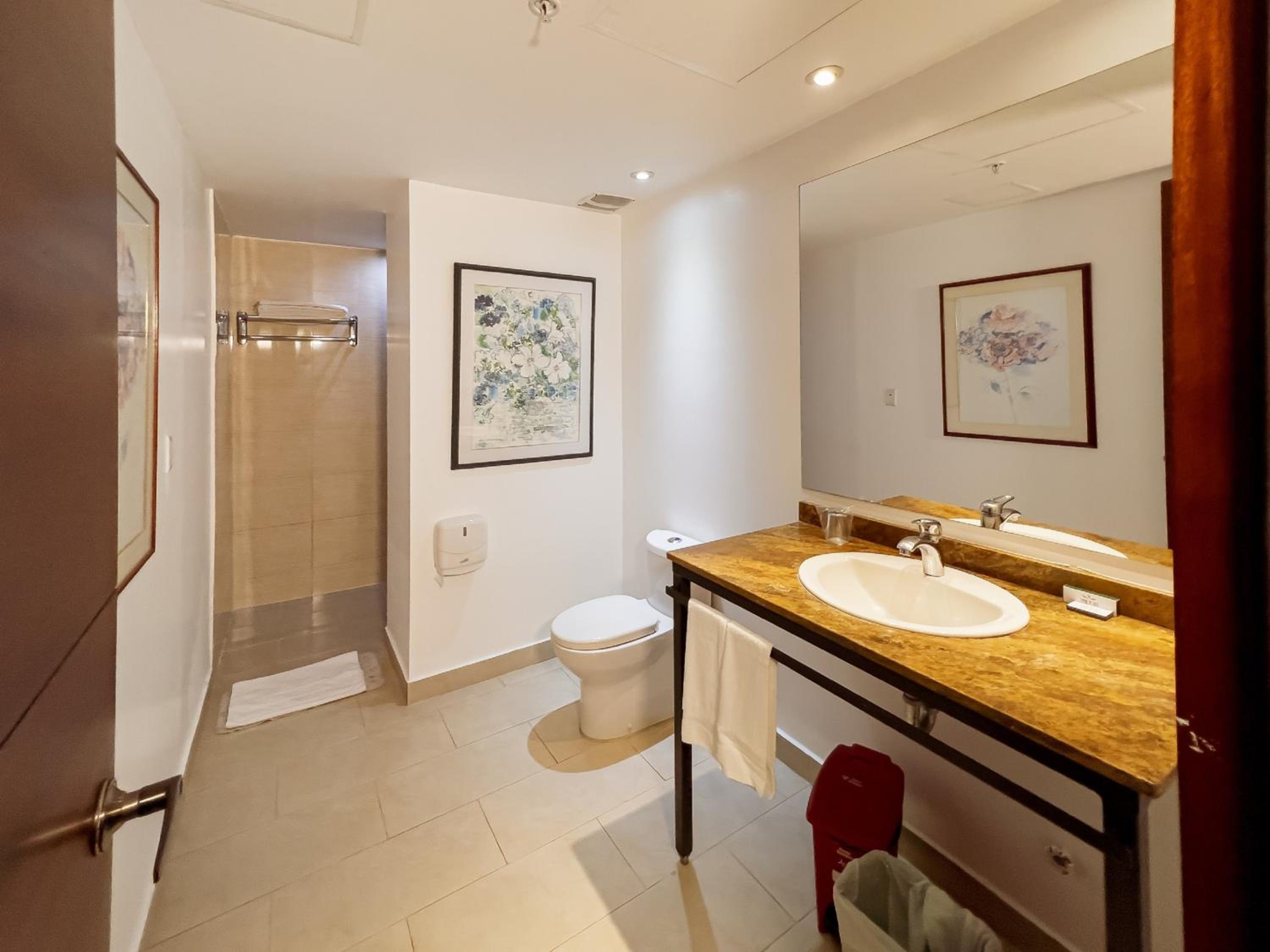 Premier Double Room - Photo 4