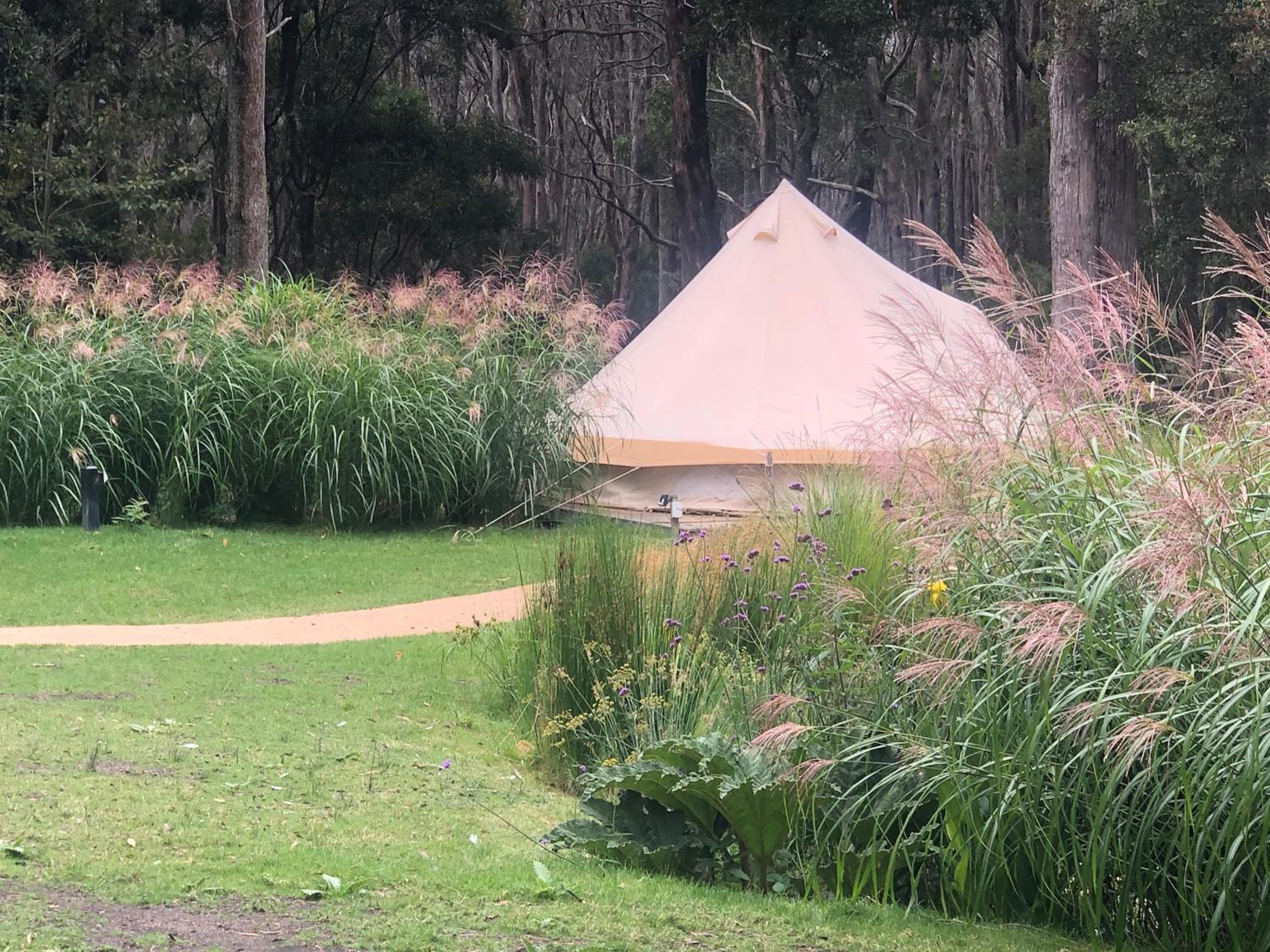 Tent photo 3