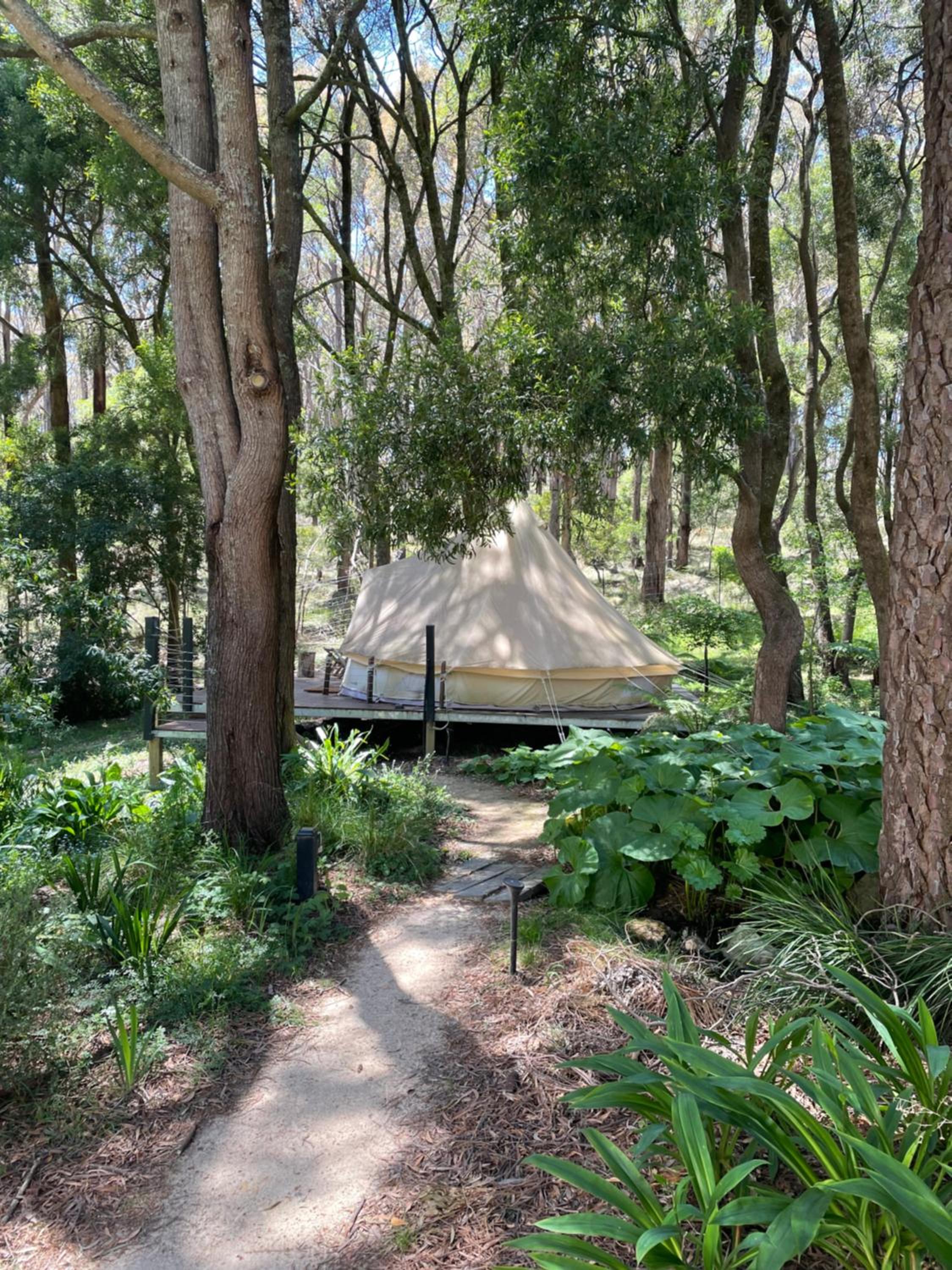 Tent photo 1
