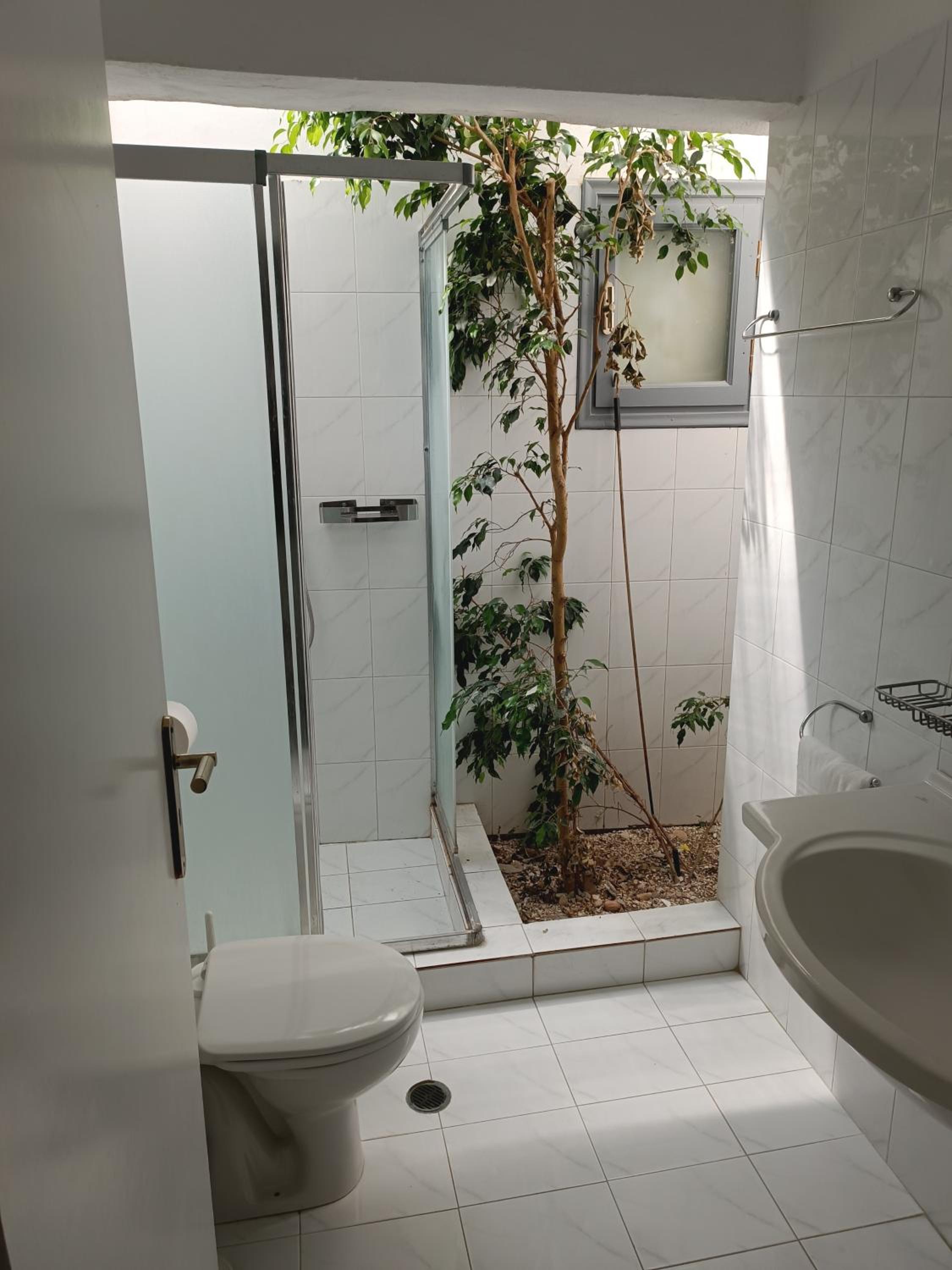 Superior Apartment (4 people) - Photo 5