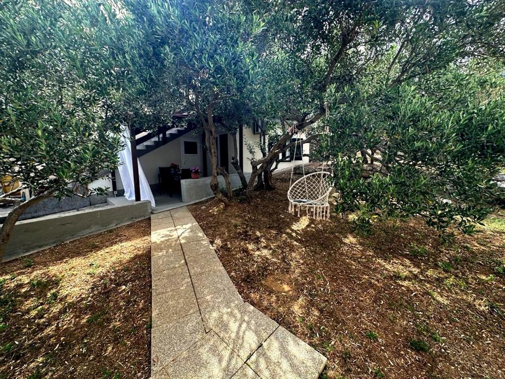 Studio with Garden View photo 2