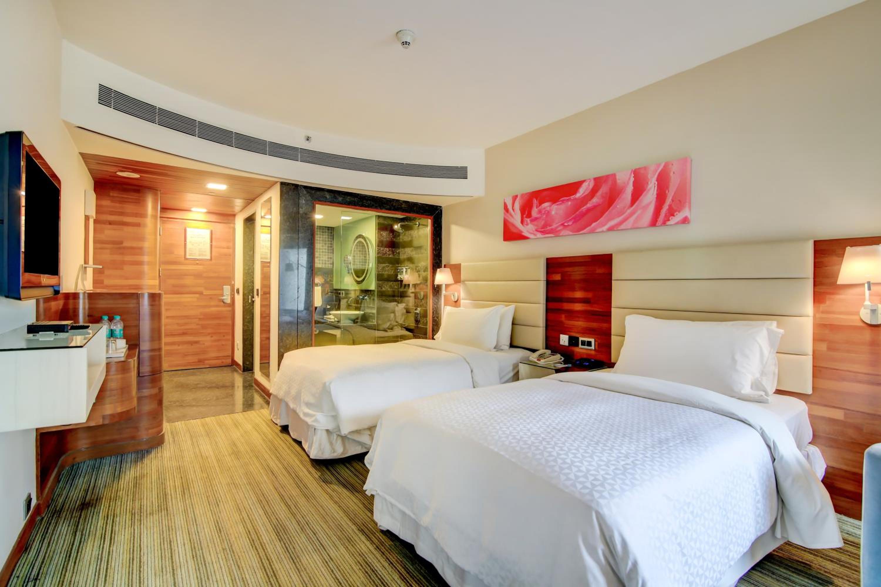 Deluxe Twin Room photo 3