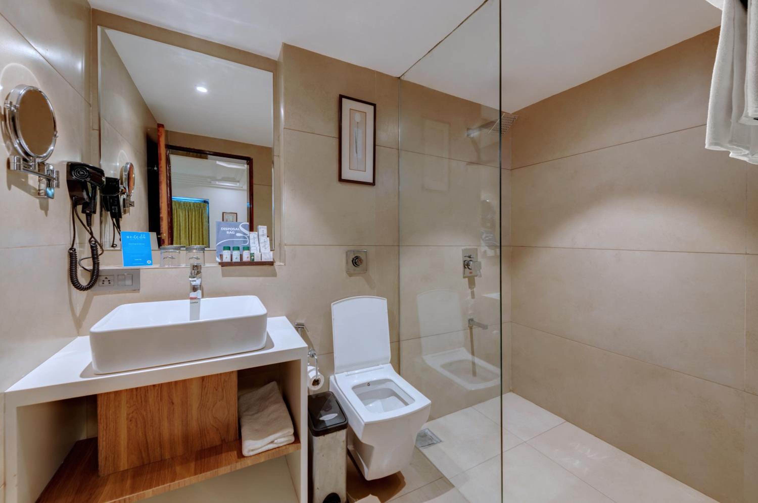 Deluxe Double Room photo 2