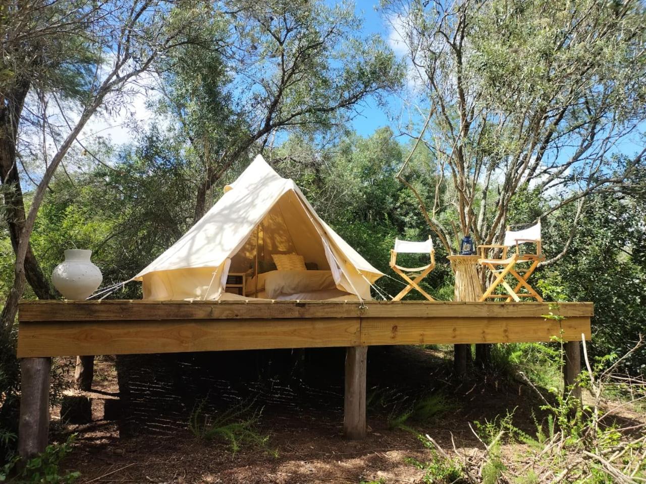 Tent photo 1