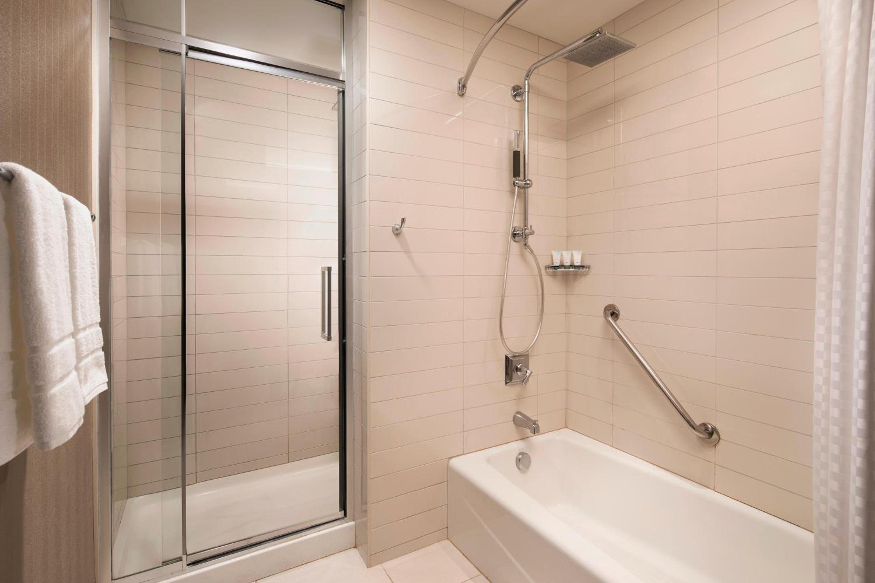 Deluxe Suite with King Bed photo 2