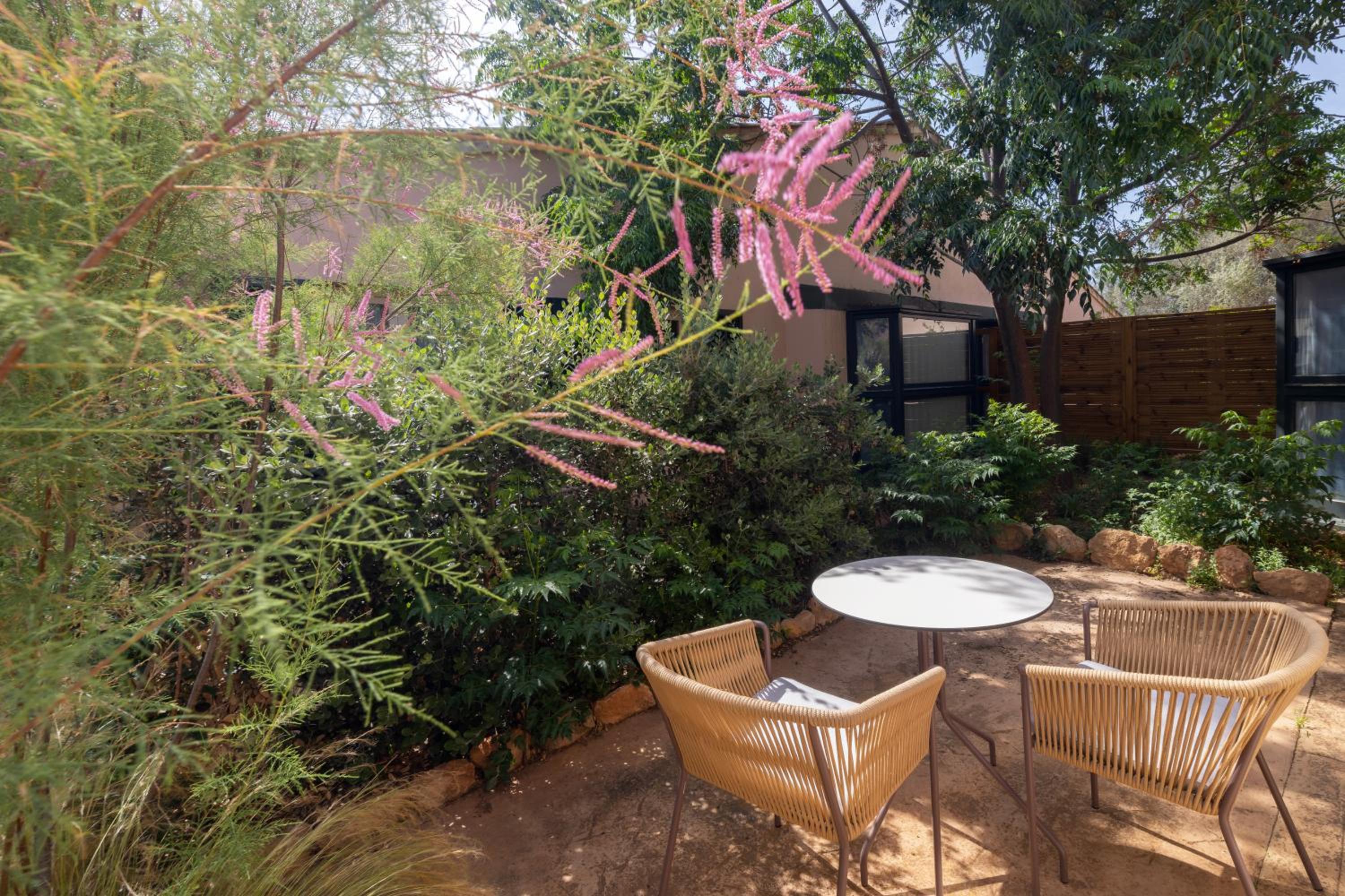 Suite Ponent - Photo 3