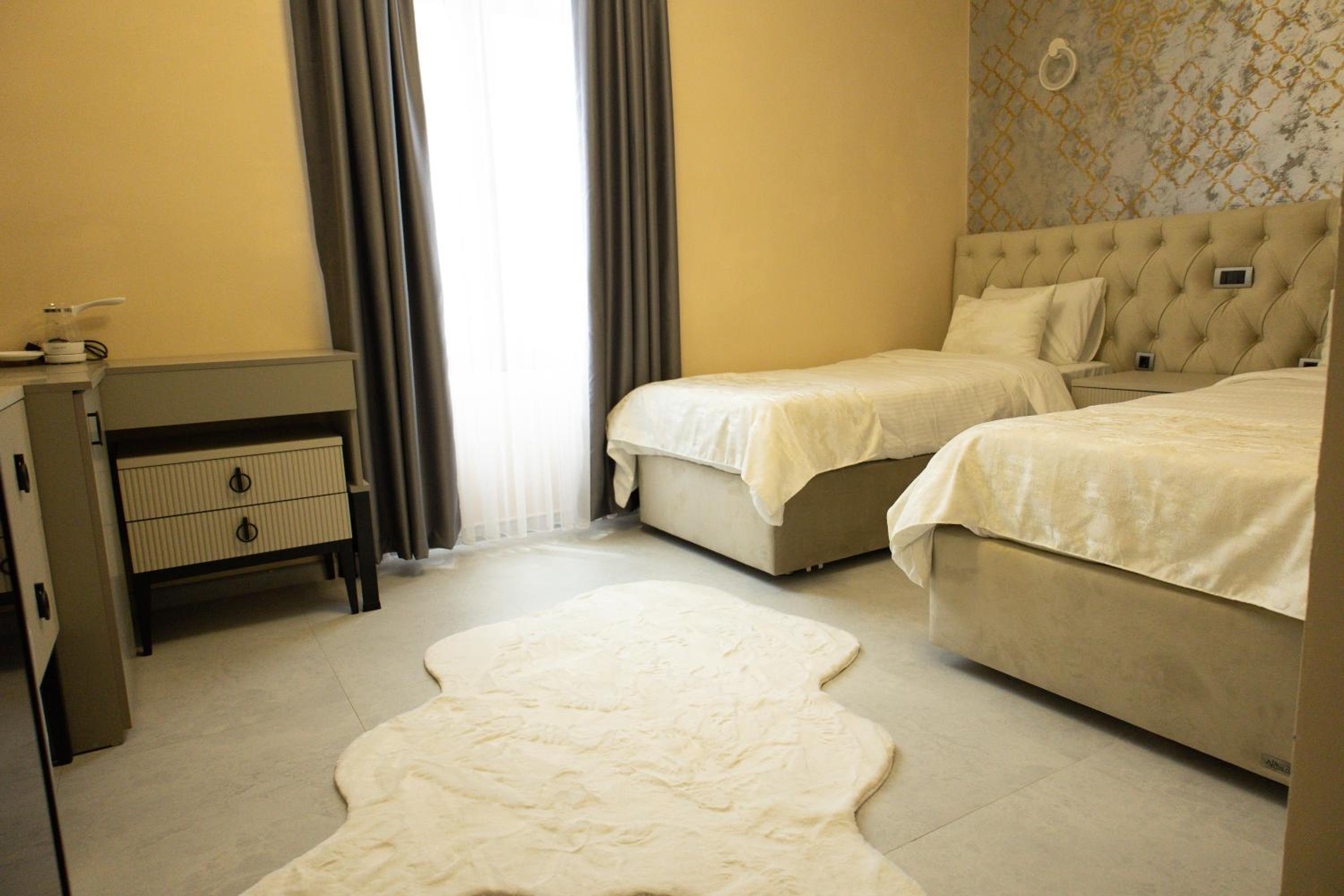Deluxe Double or Twin Room with City View photo 2