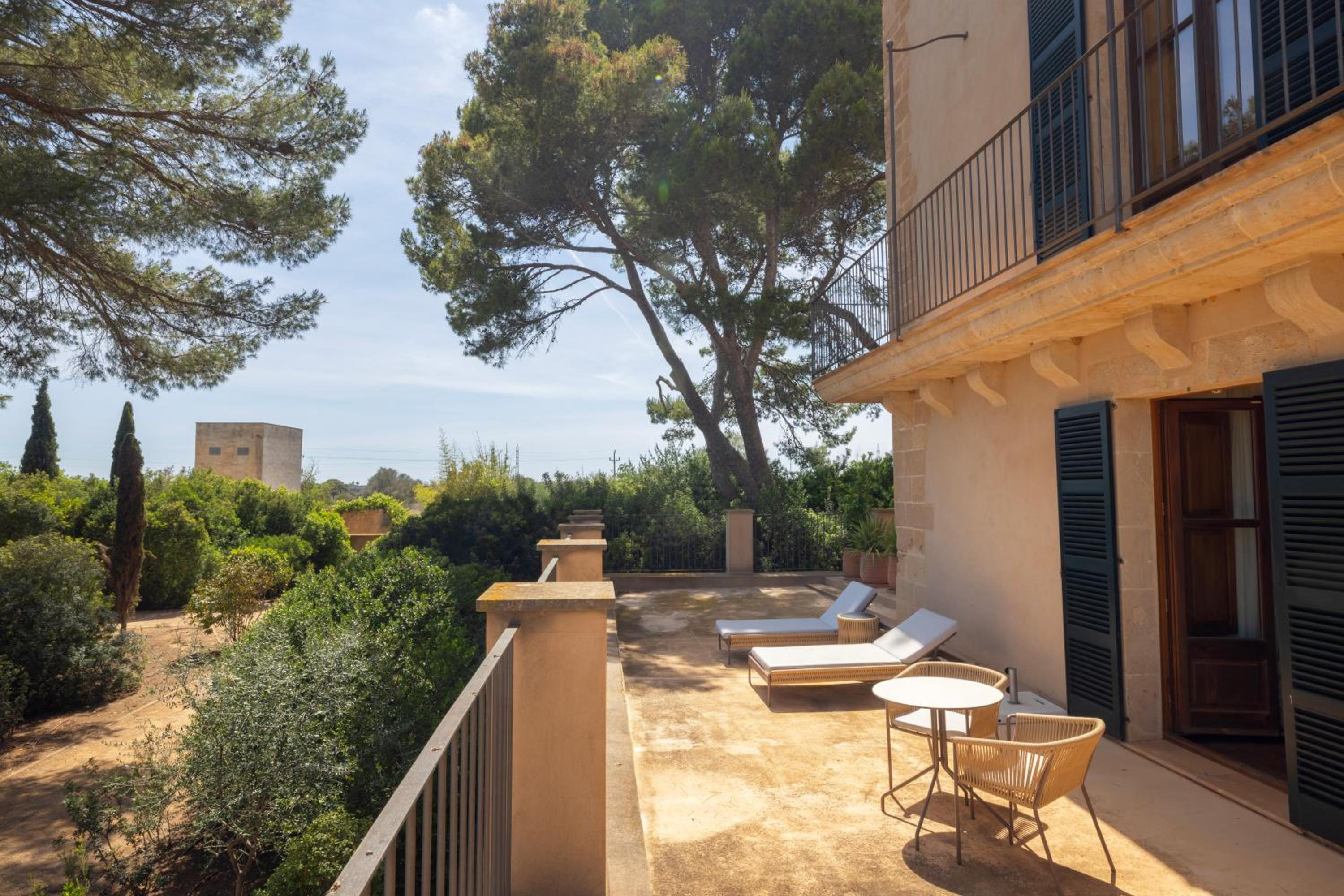 Suite Elegant Comellas