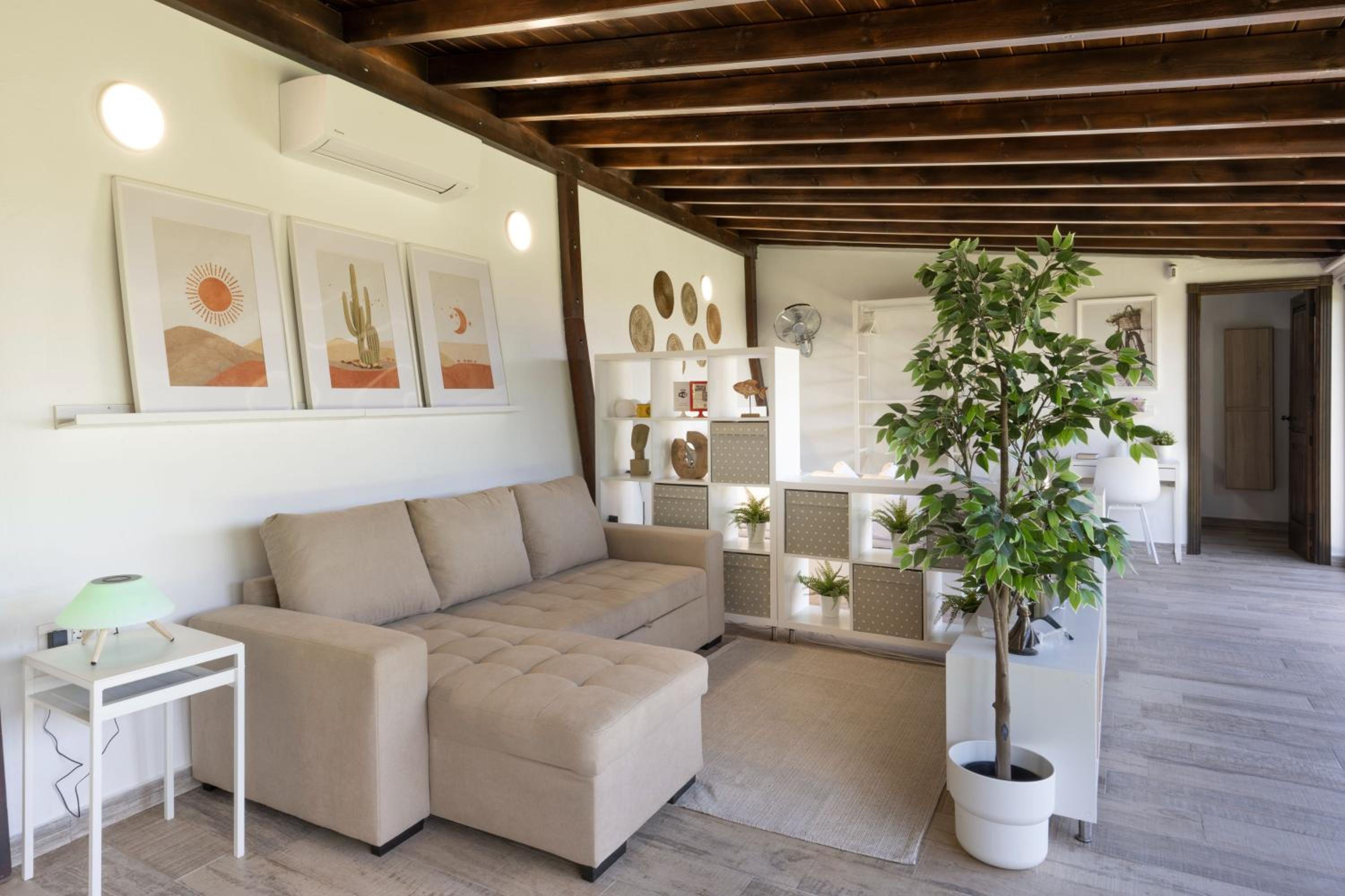 Studio with Terrace
