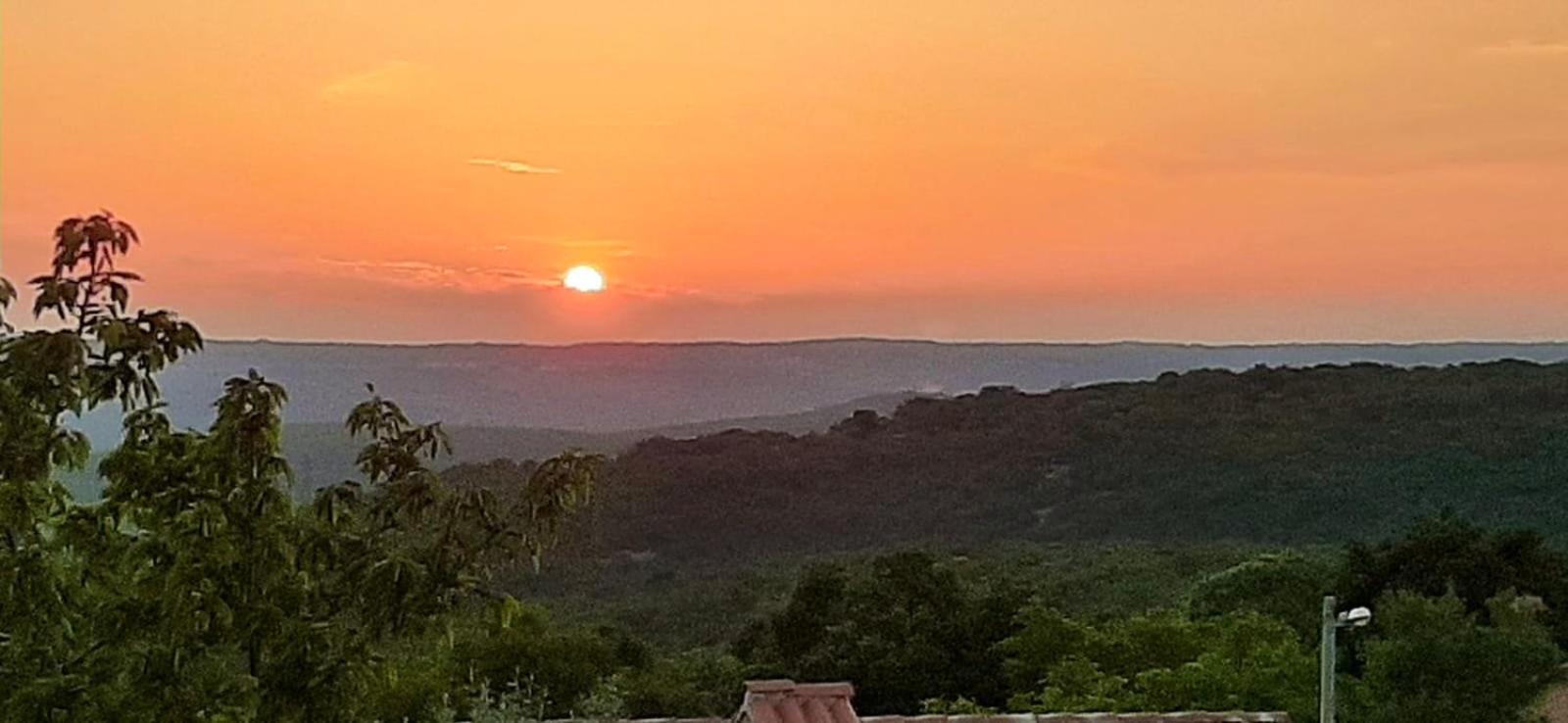 Apartment with Terrace photo 3