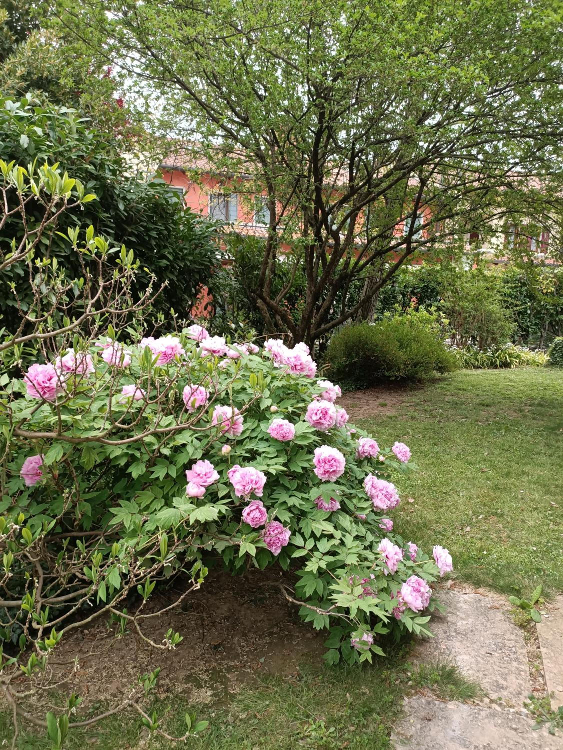 Apartment with Garden View - Photo 6